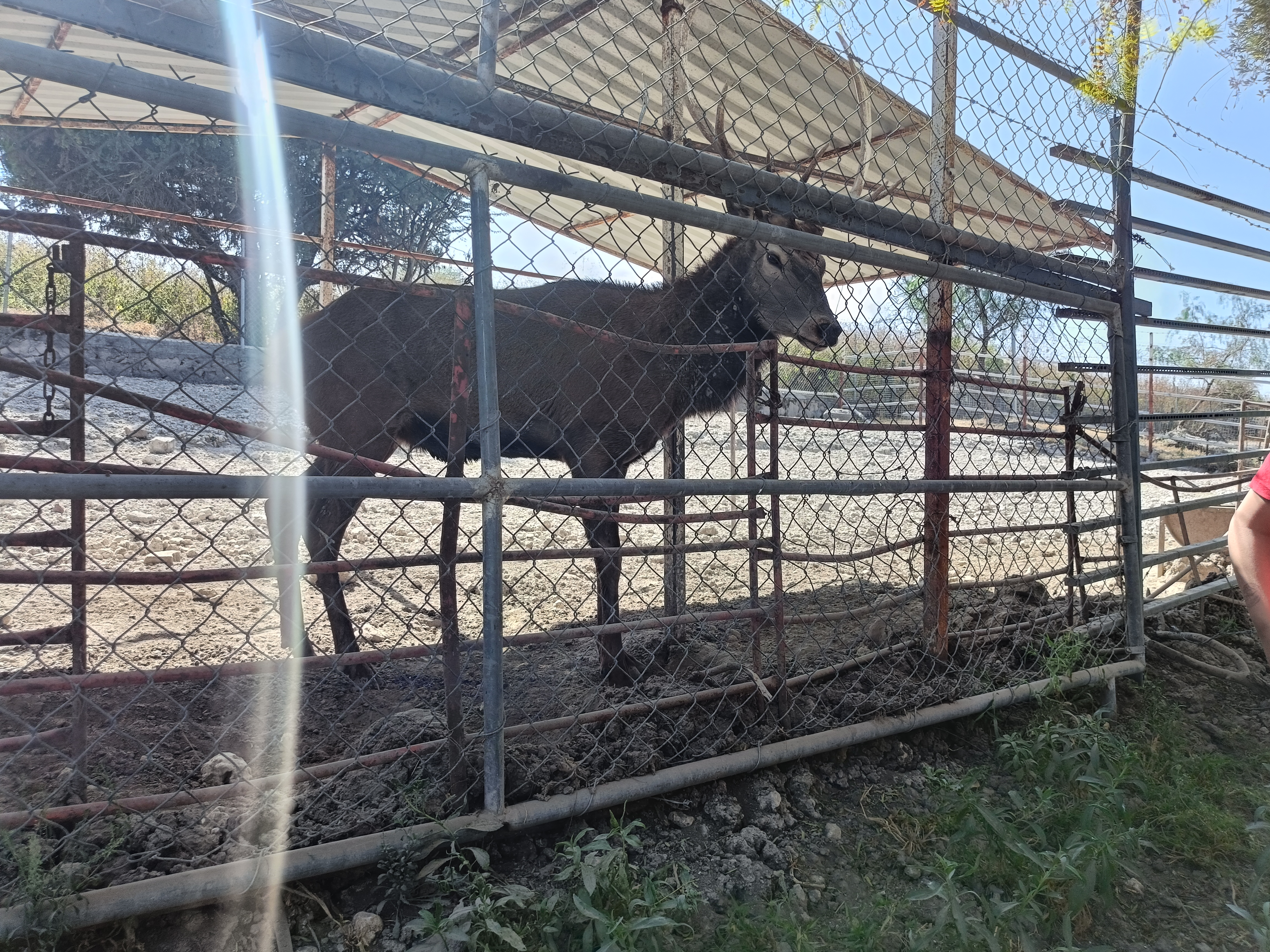 Bioparque La Cueva image 9