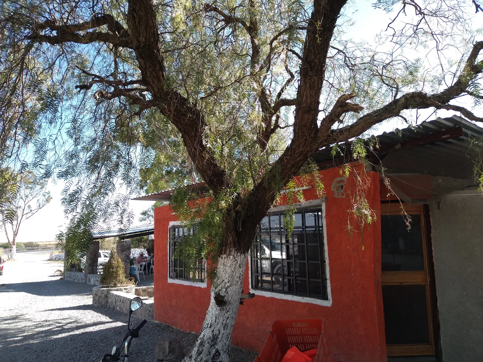 Restaurante Don Refugio image 3