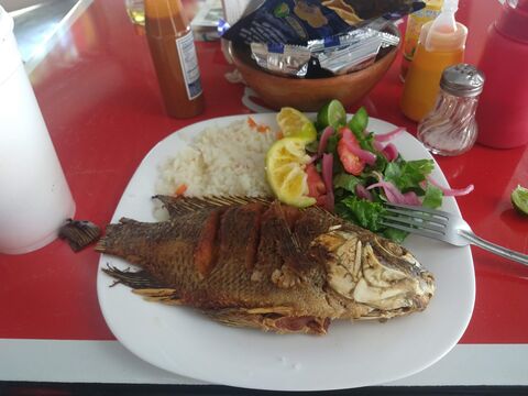 Restaurante Don Refugio image 6