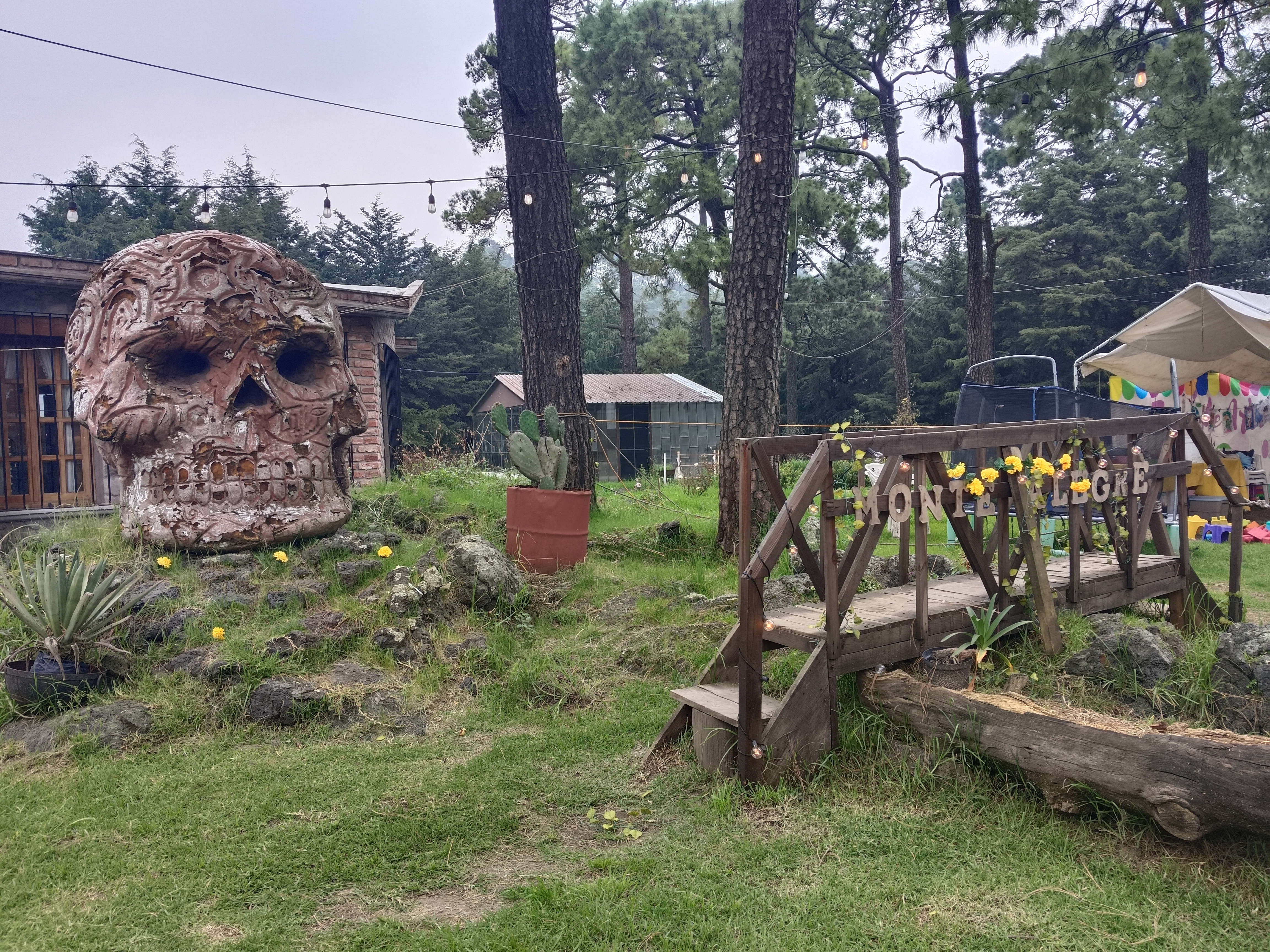 Restaurante Monte Alegre image 1