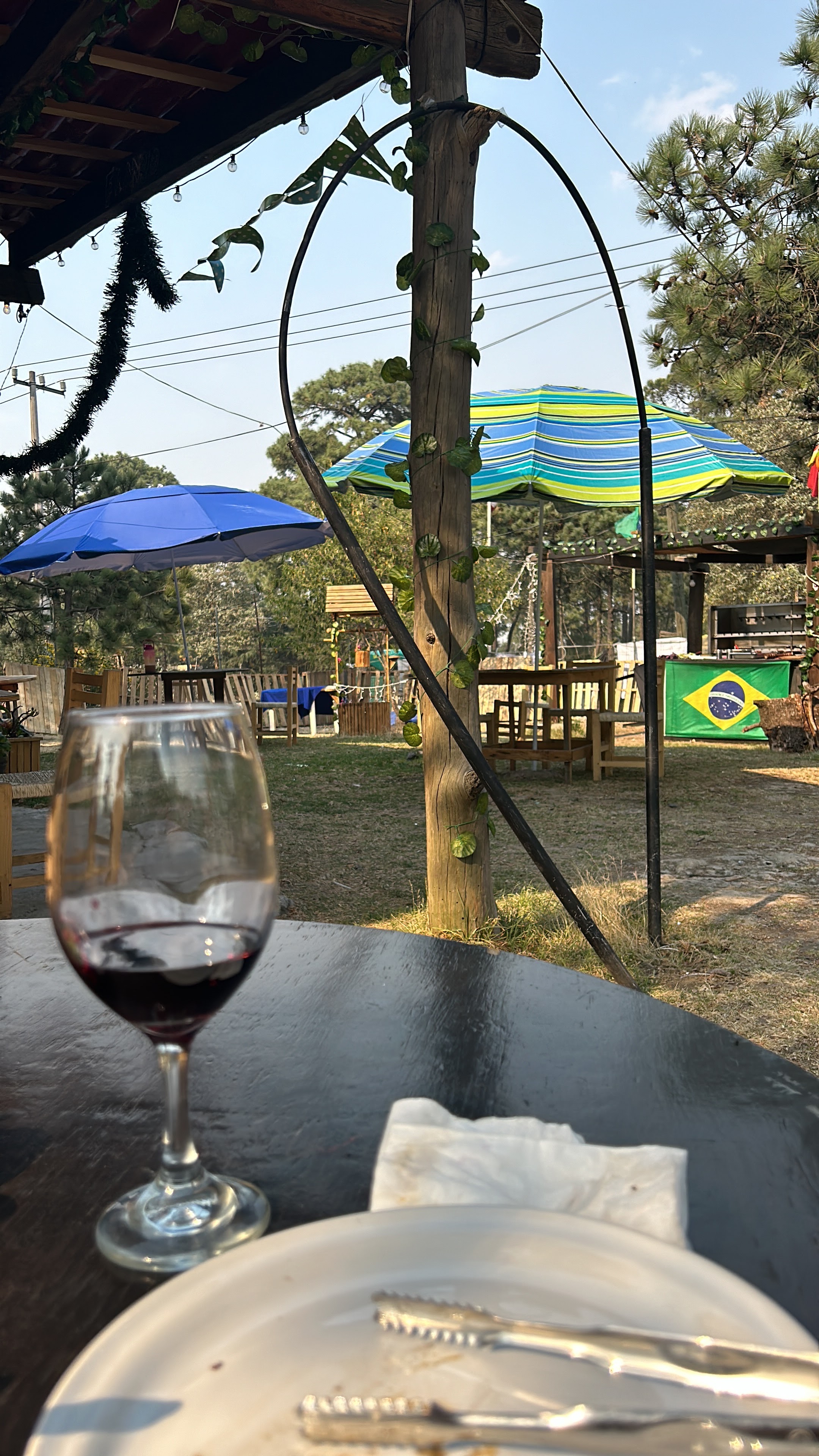 Corcovado Do Brasil image 1