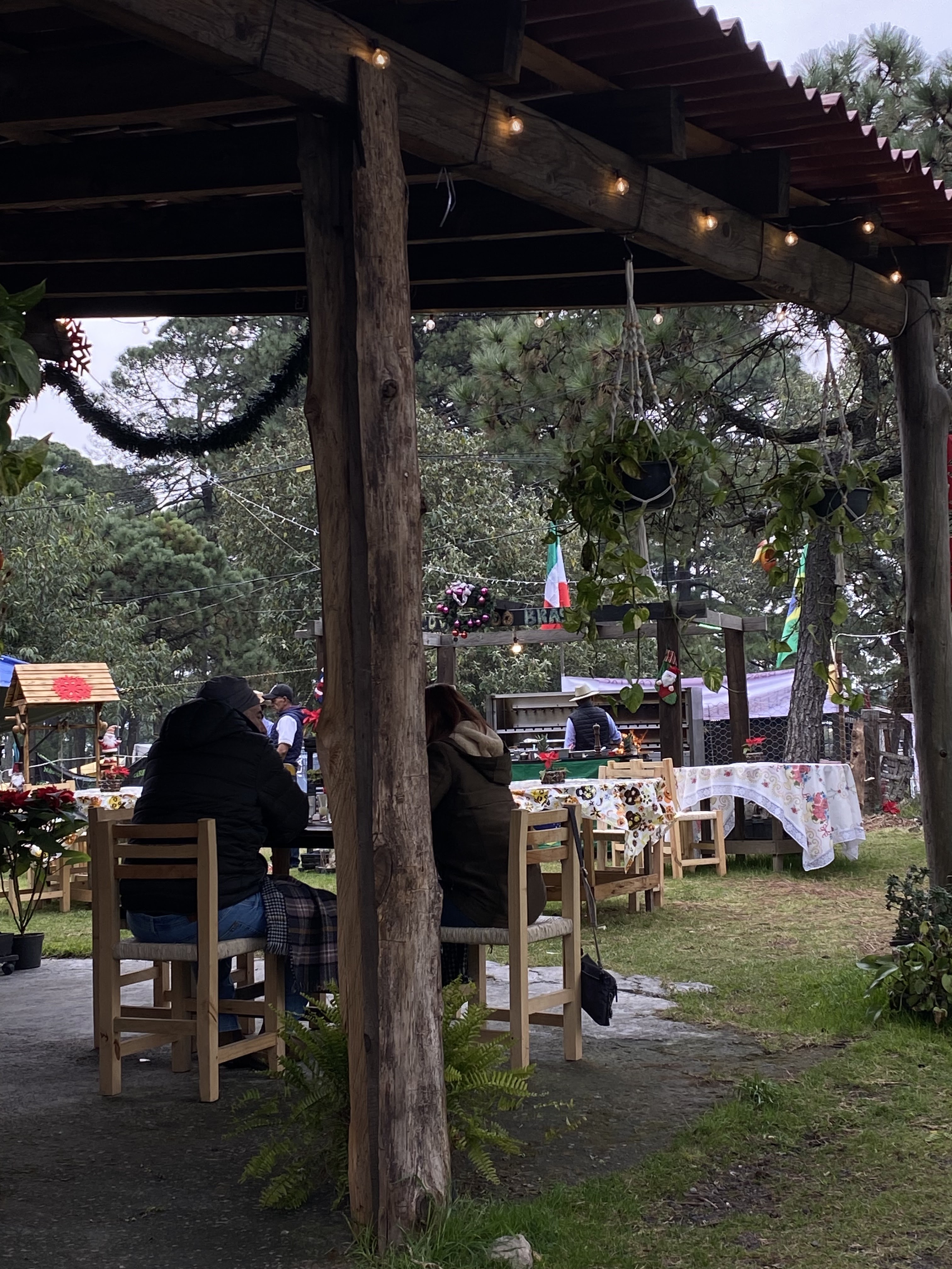 Corcovado Do Brasil image 6