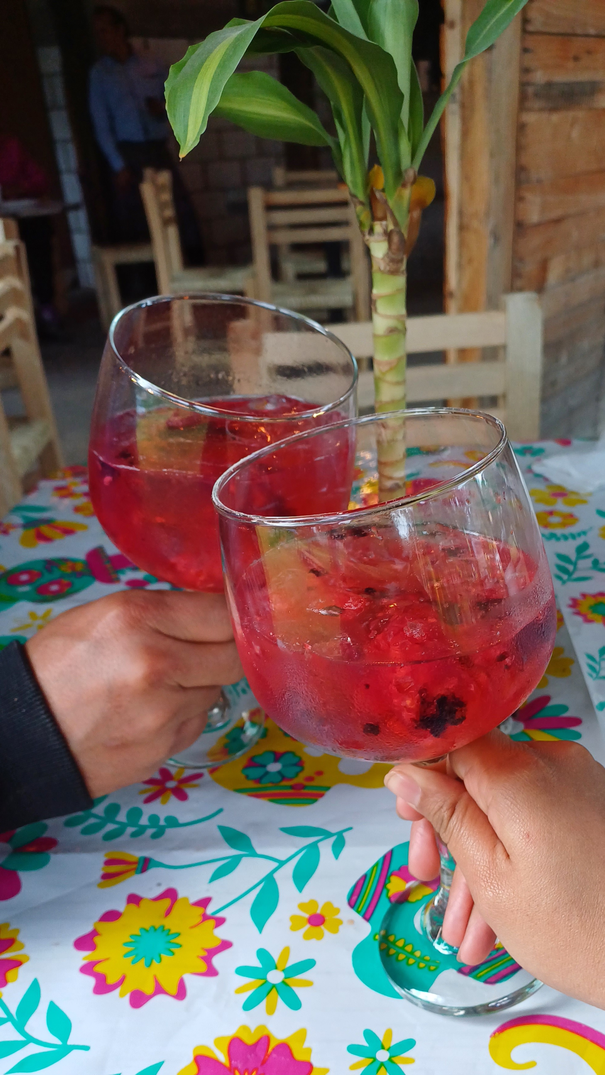 Corcovado Do Brasil image 10