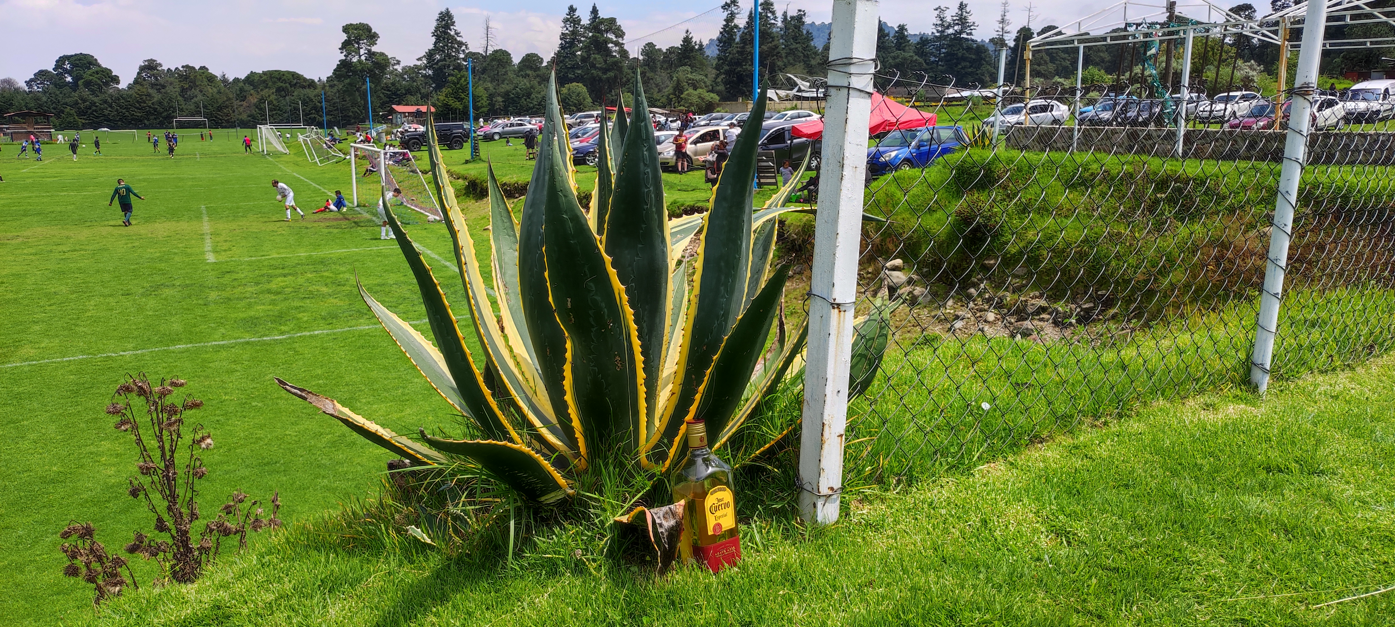 Contenedor ajusco image 3