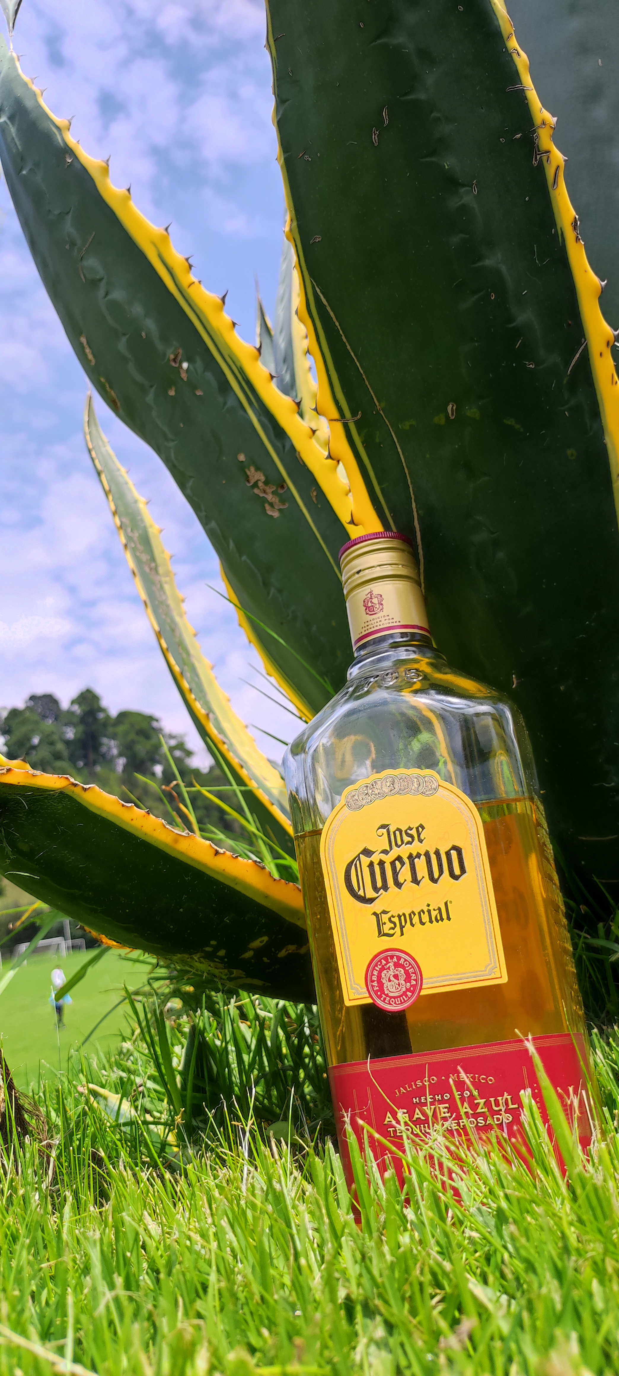 Contenedor ajusco image 4