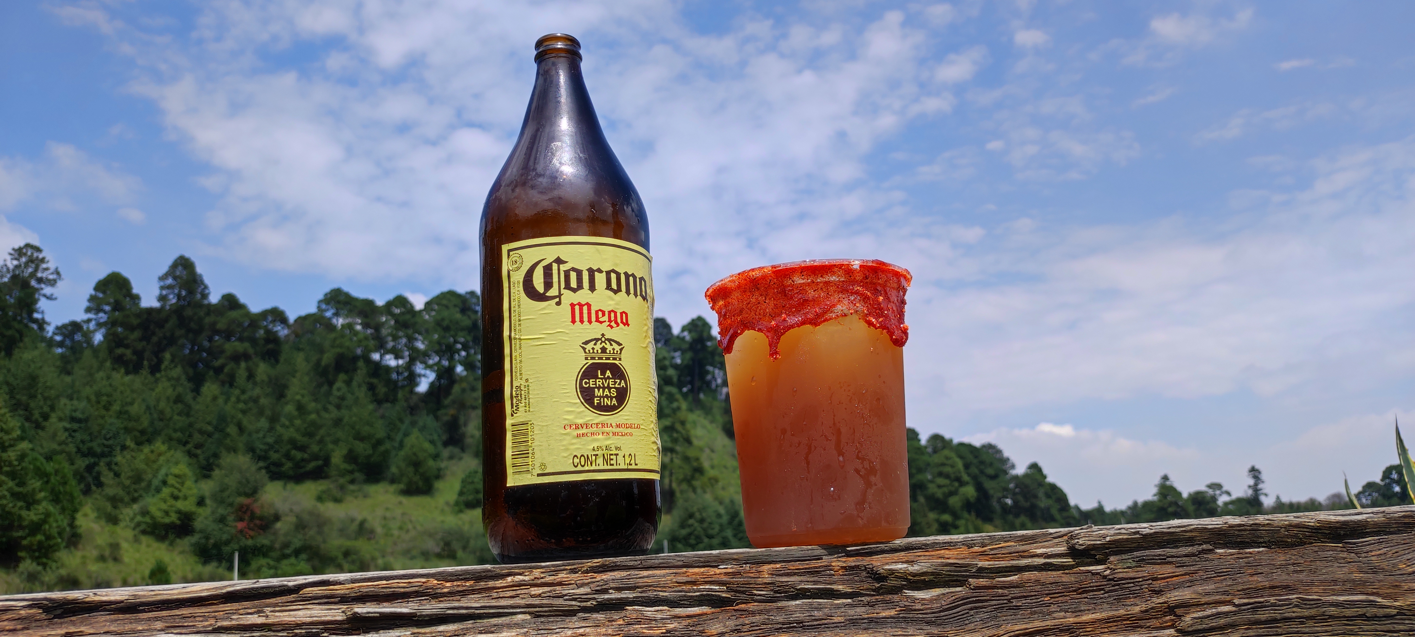 Contenedor ajusco image 6