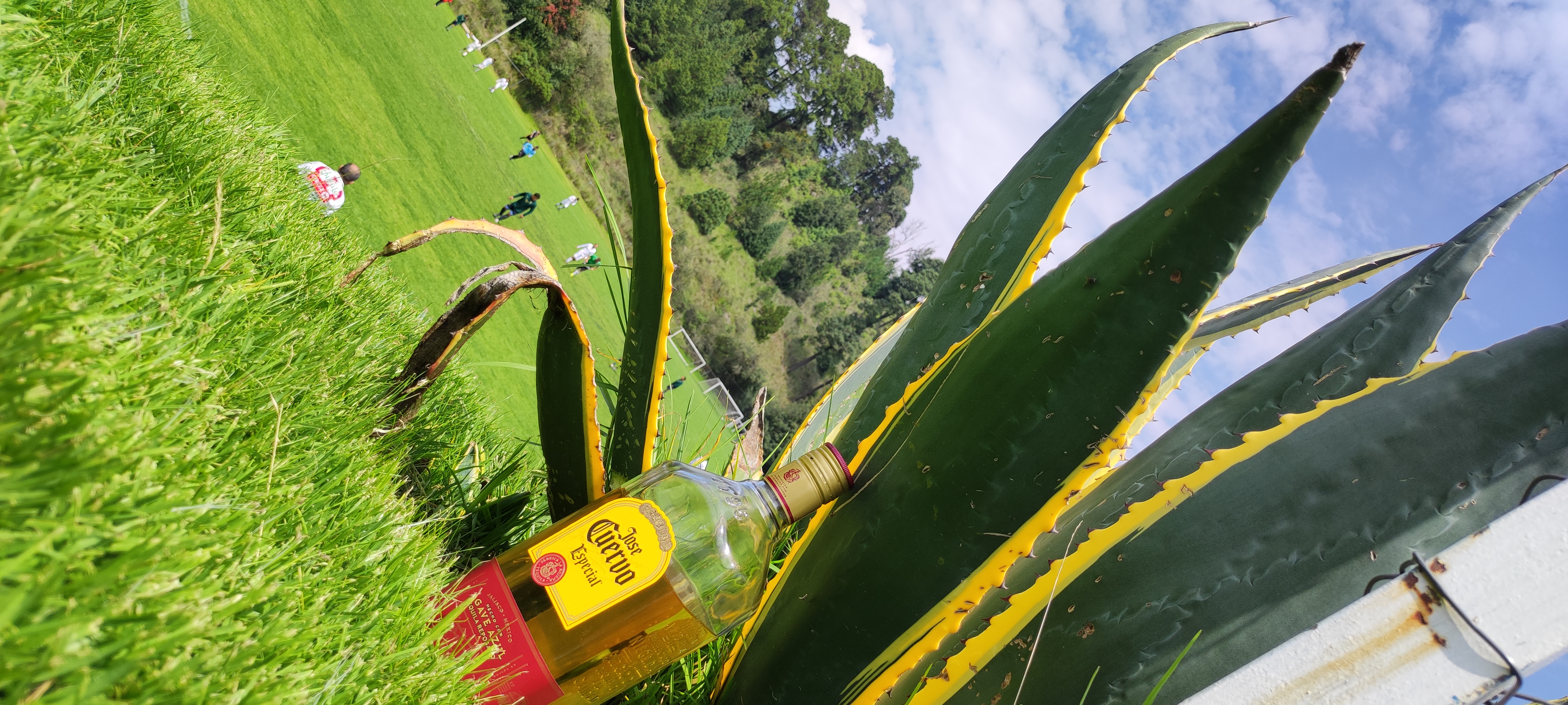 Contenedor ajusco image 10