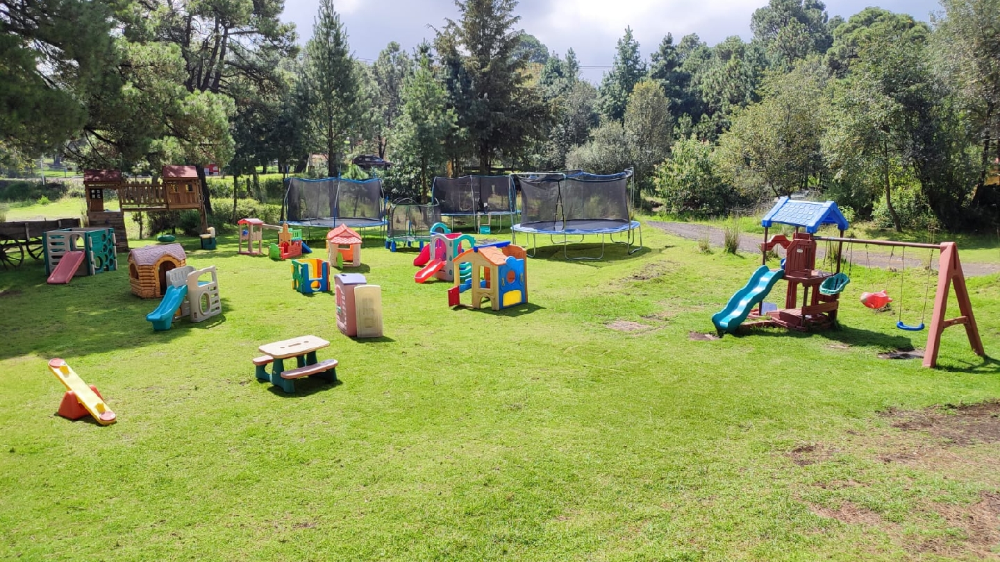 Trementineros image 3