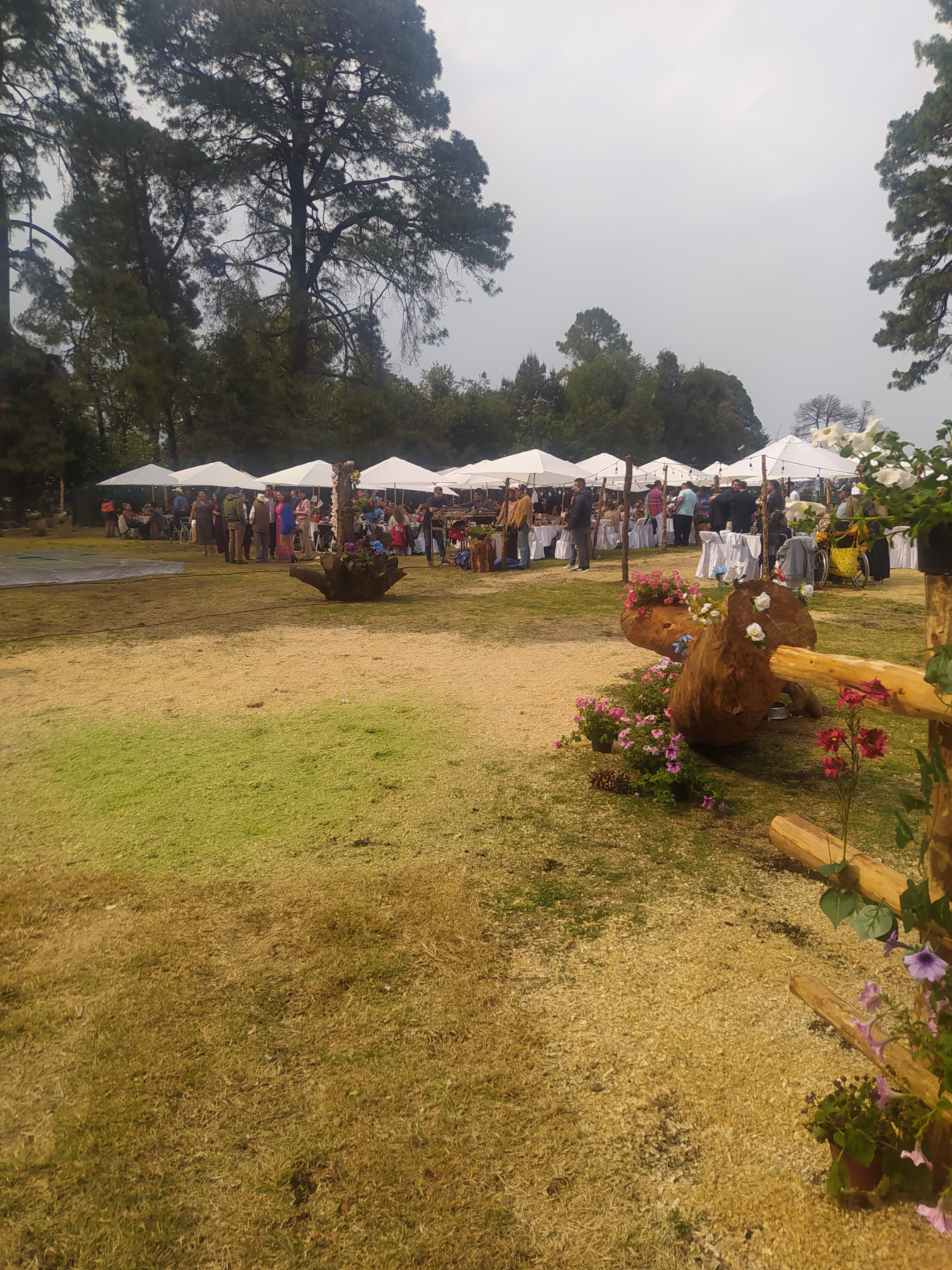 Trementineros image 4