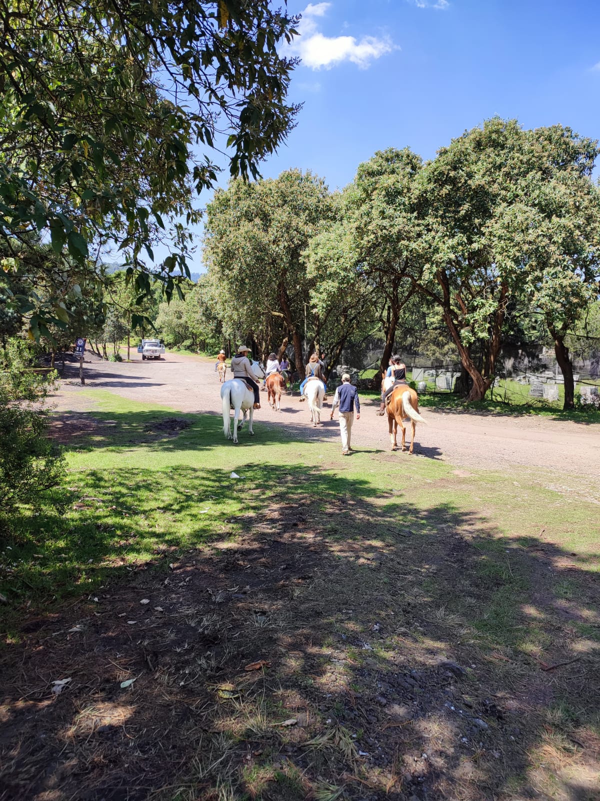 Trementineros image 5