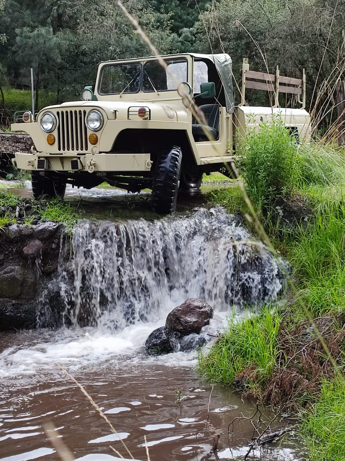 Trementineros image 8