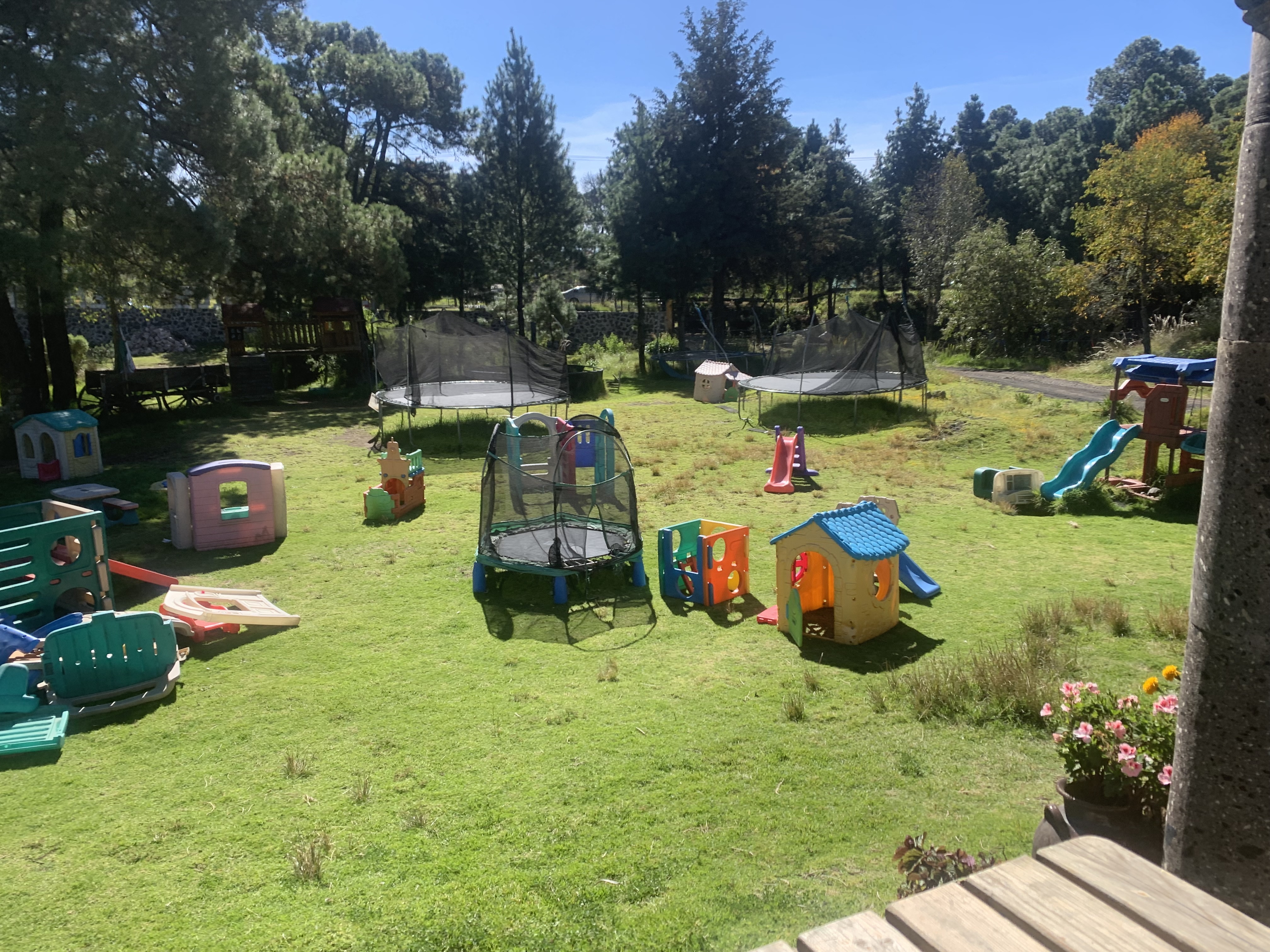 Trementineros image 9