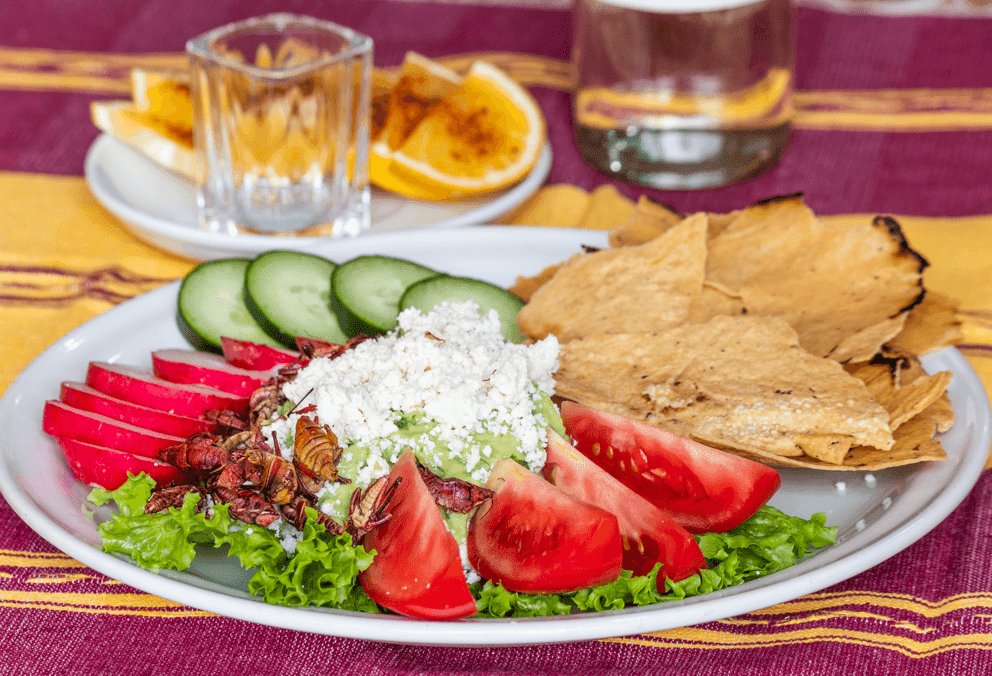 Tlayudas al Carbón La Zapoteca image 2