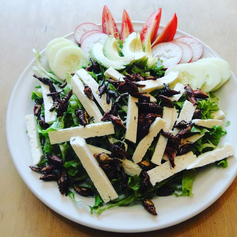 Tlayudas al Carbón La Zapoteca image 8