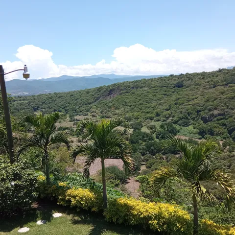 La Terraza image 5