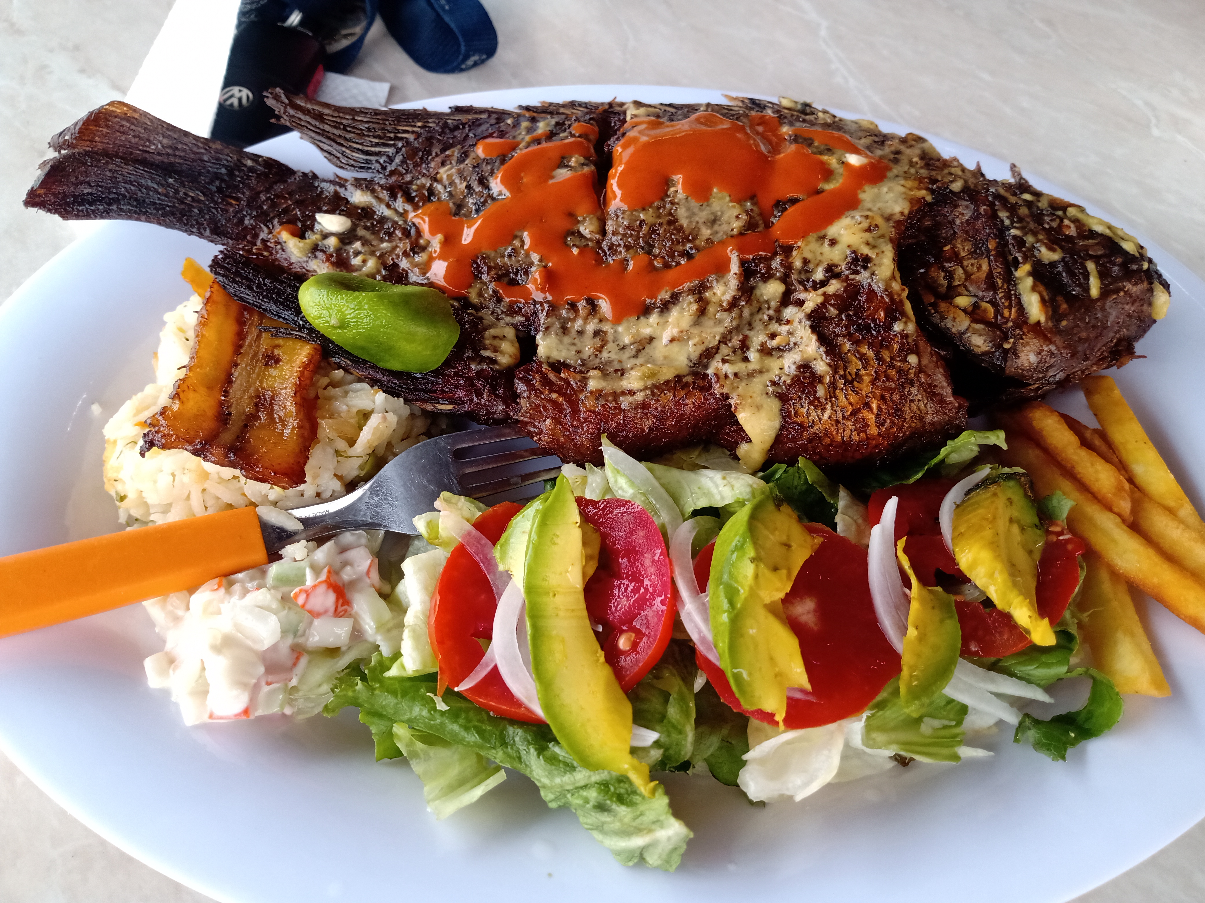 Los Delfines image 2