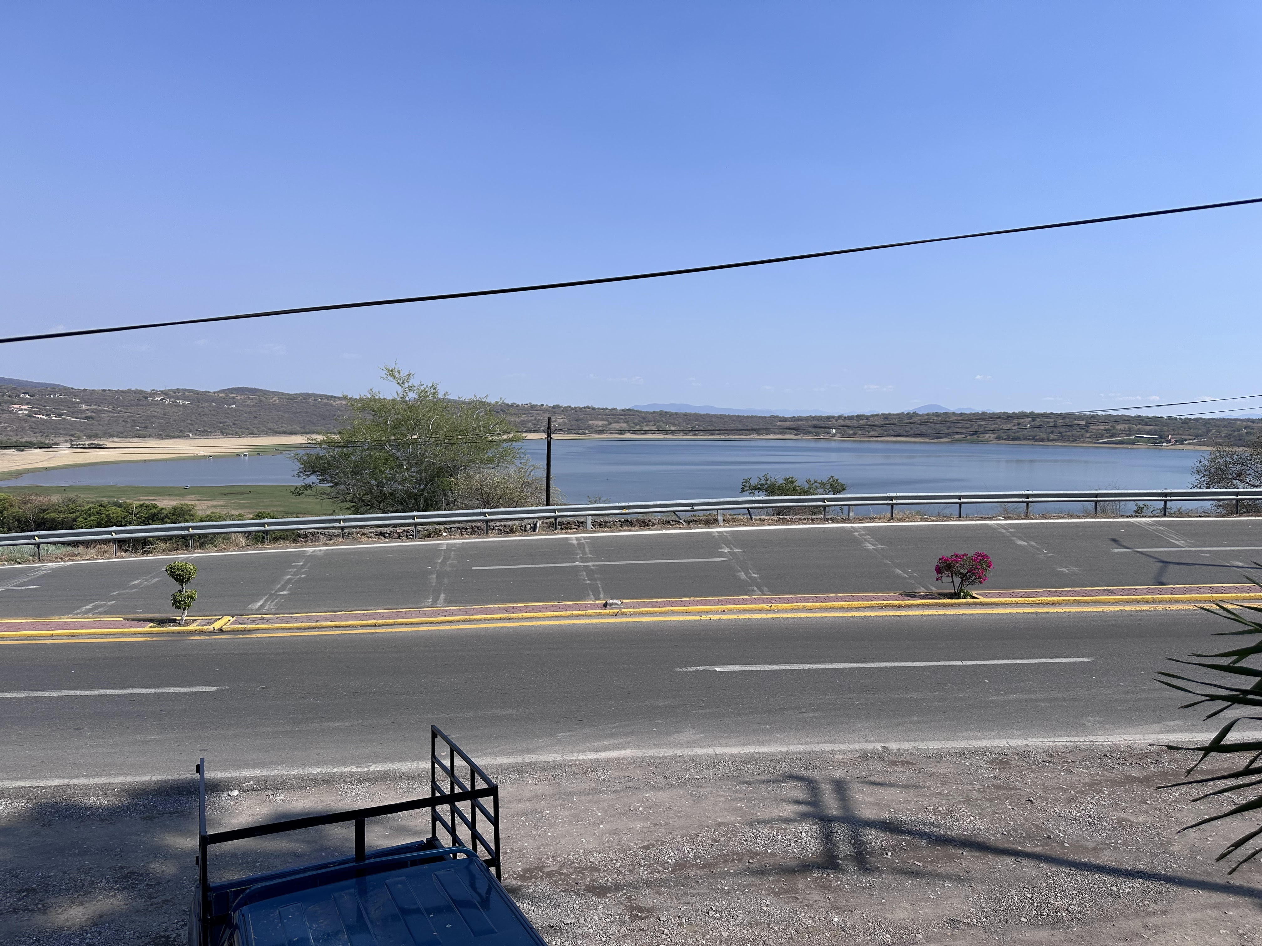 Los Delfines image 3