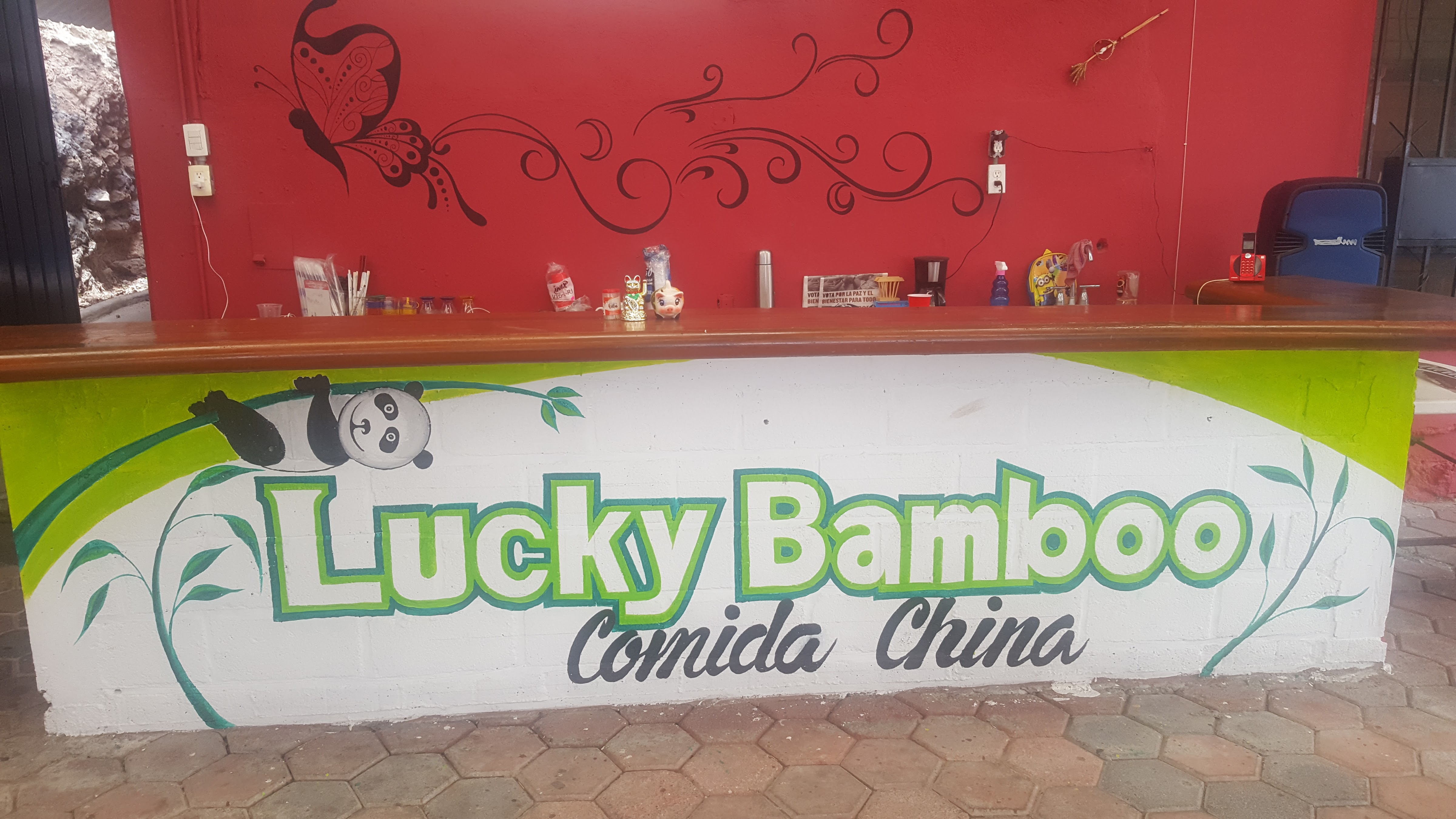 Lucky Bamboo image 1