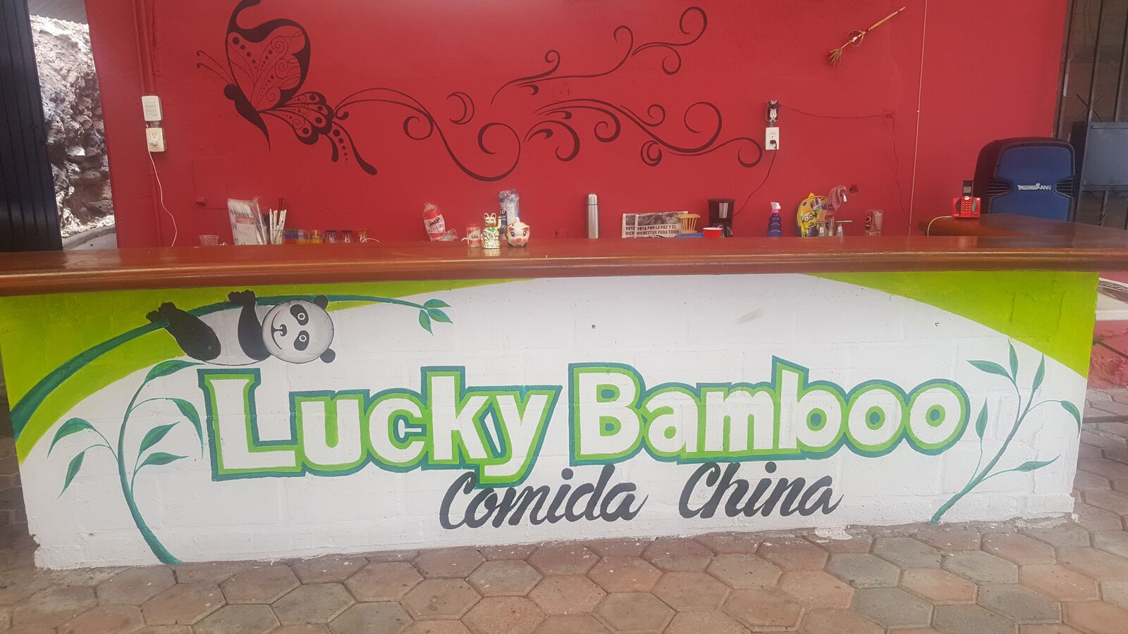 Lucky Bamboo image 1