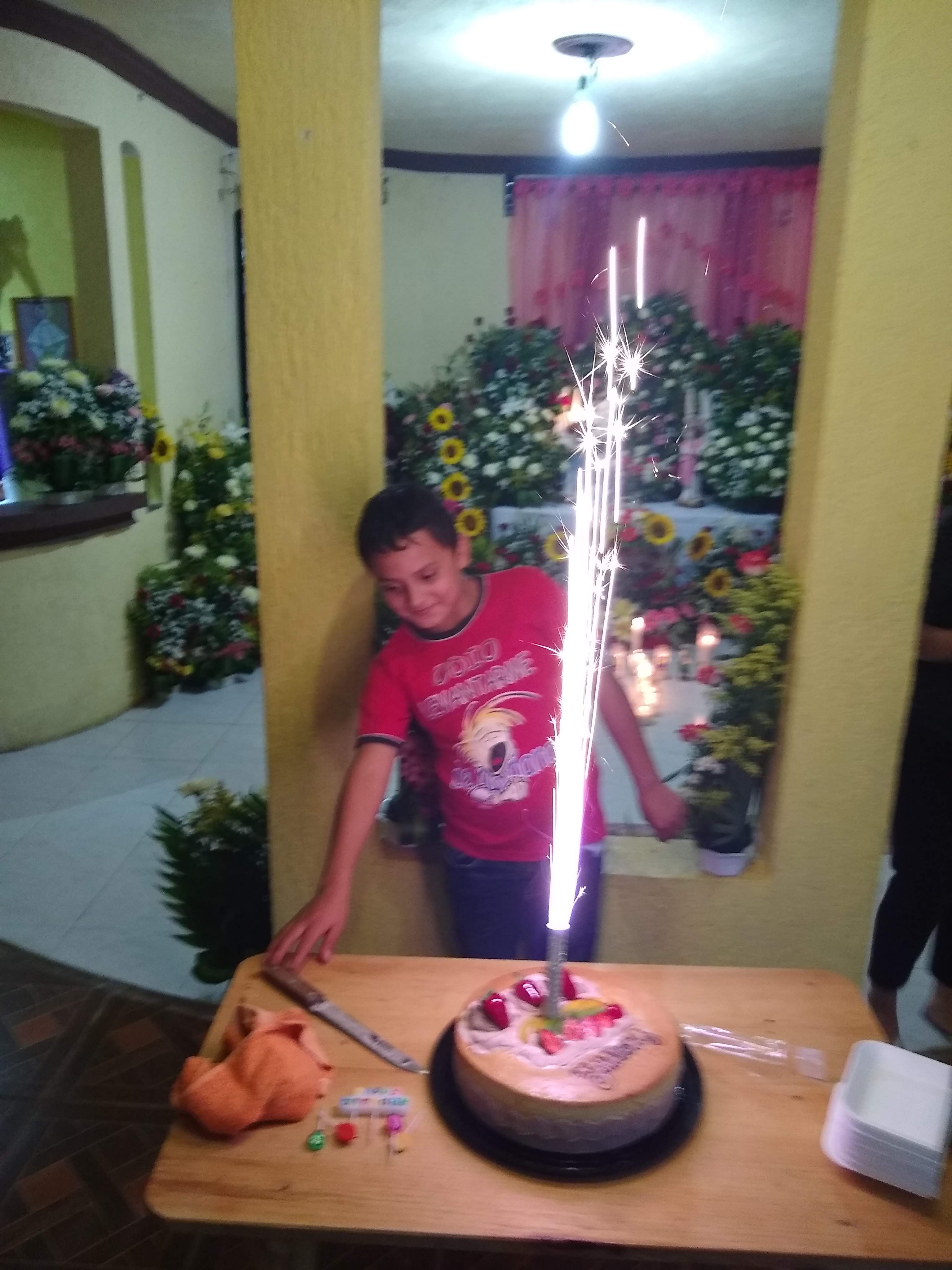 El Venado La Trinitaria image 9