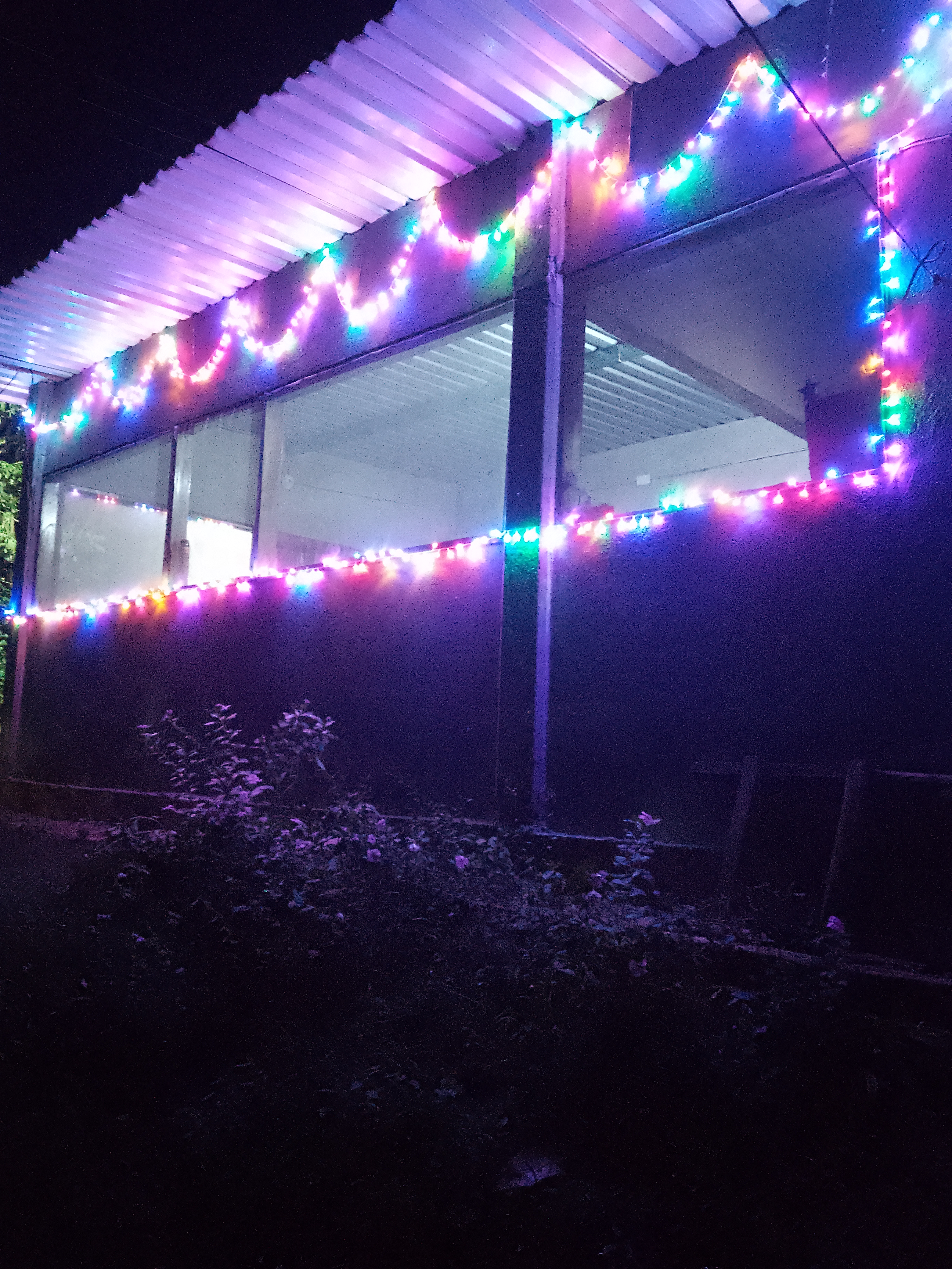 pizzas DELEITAL image 3