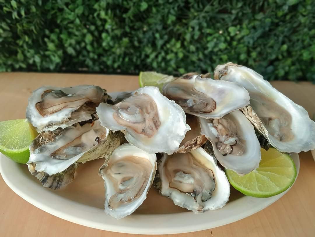 Palapa De Angy image 2