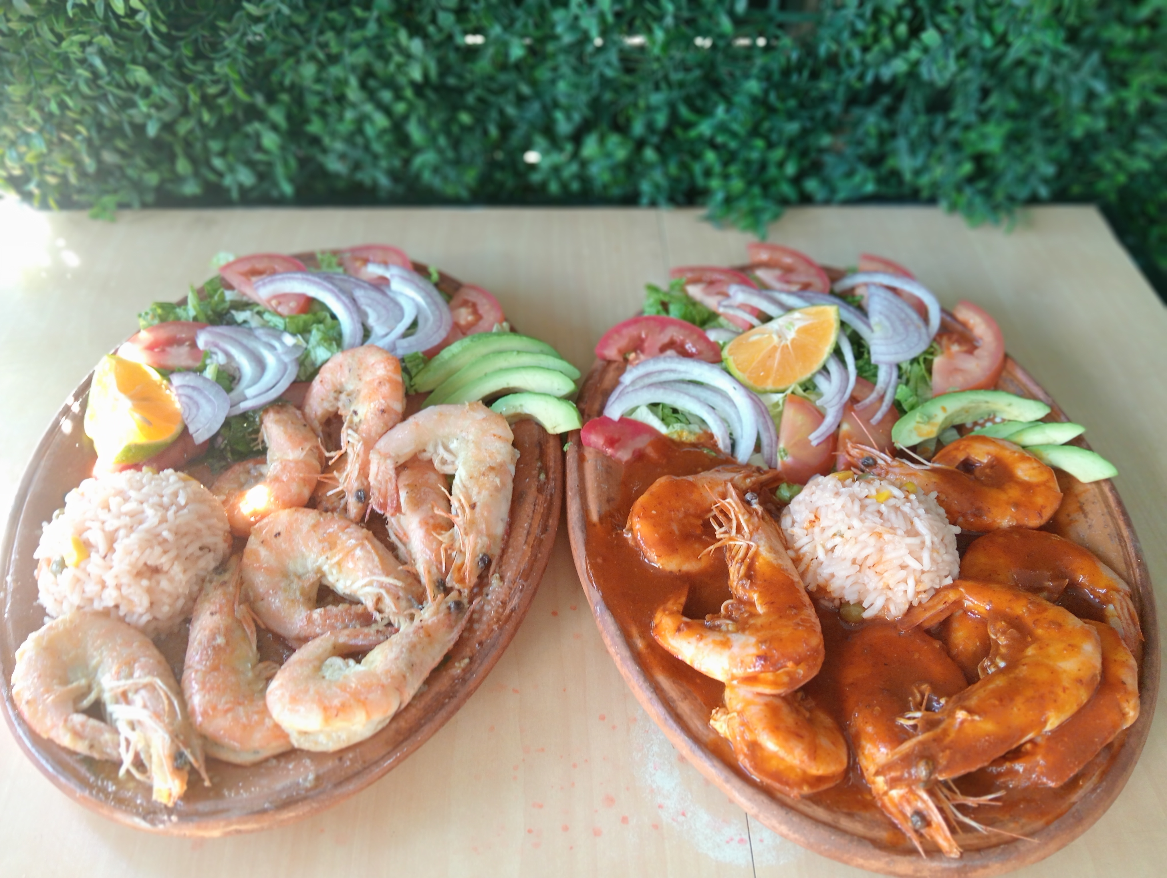 Palapa De Angy image 4