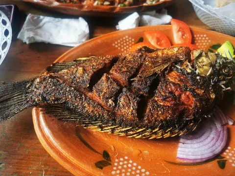 Palapa De Angy image 6