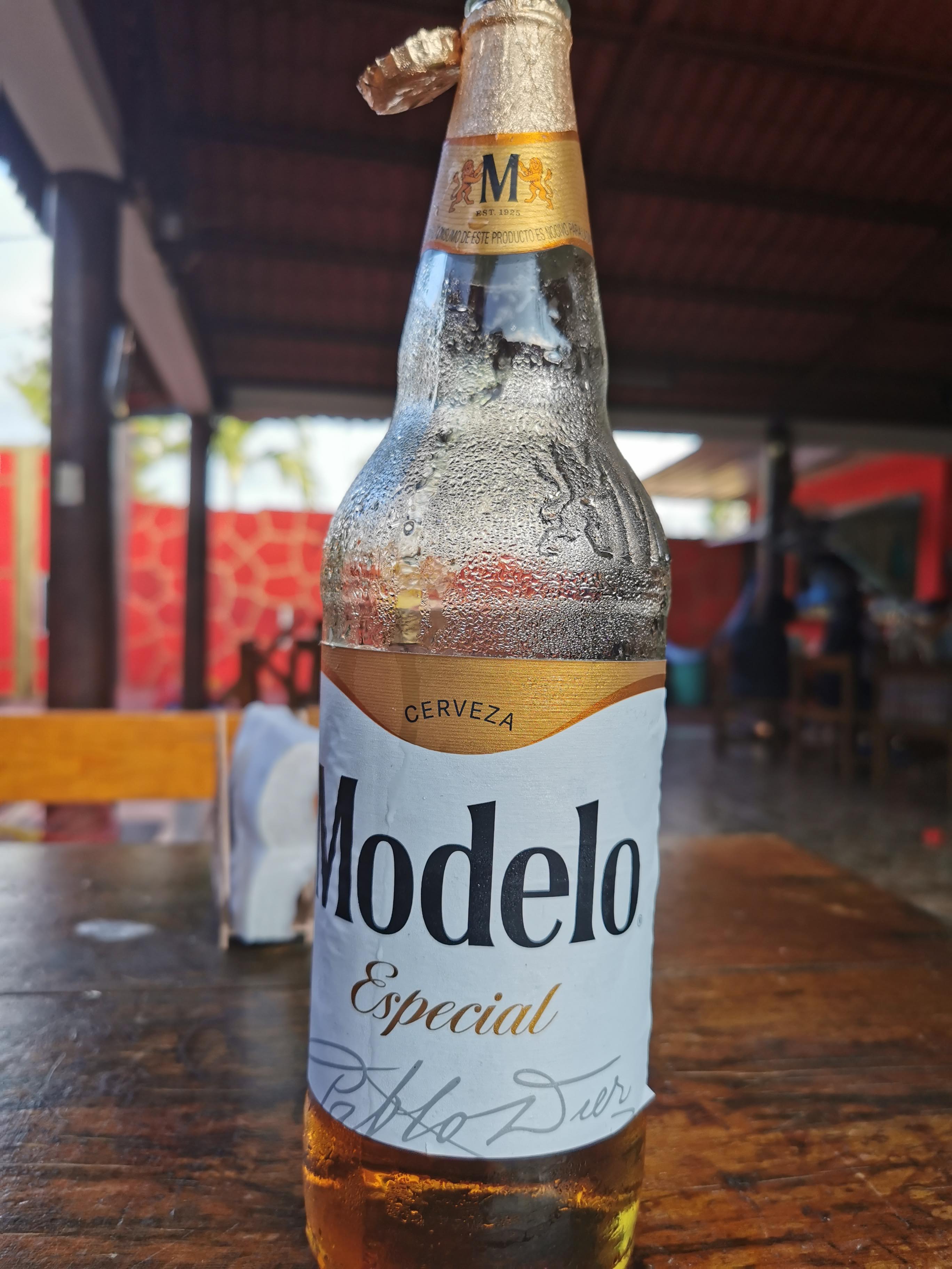 Palapa De Angy image 8