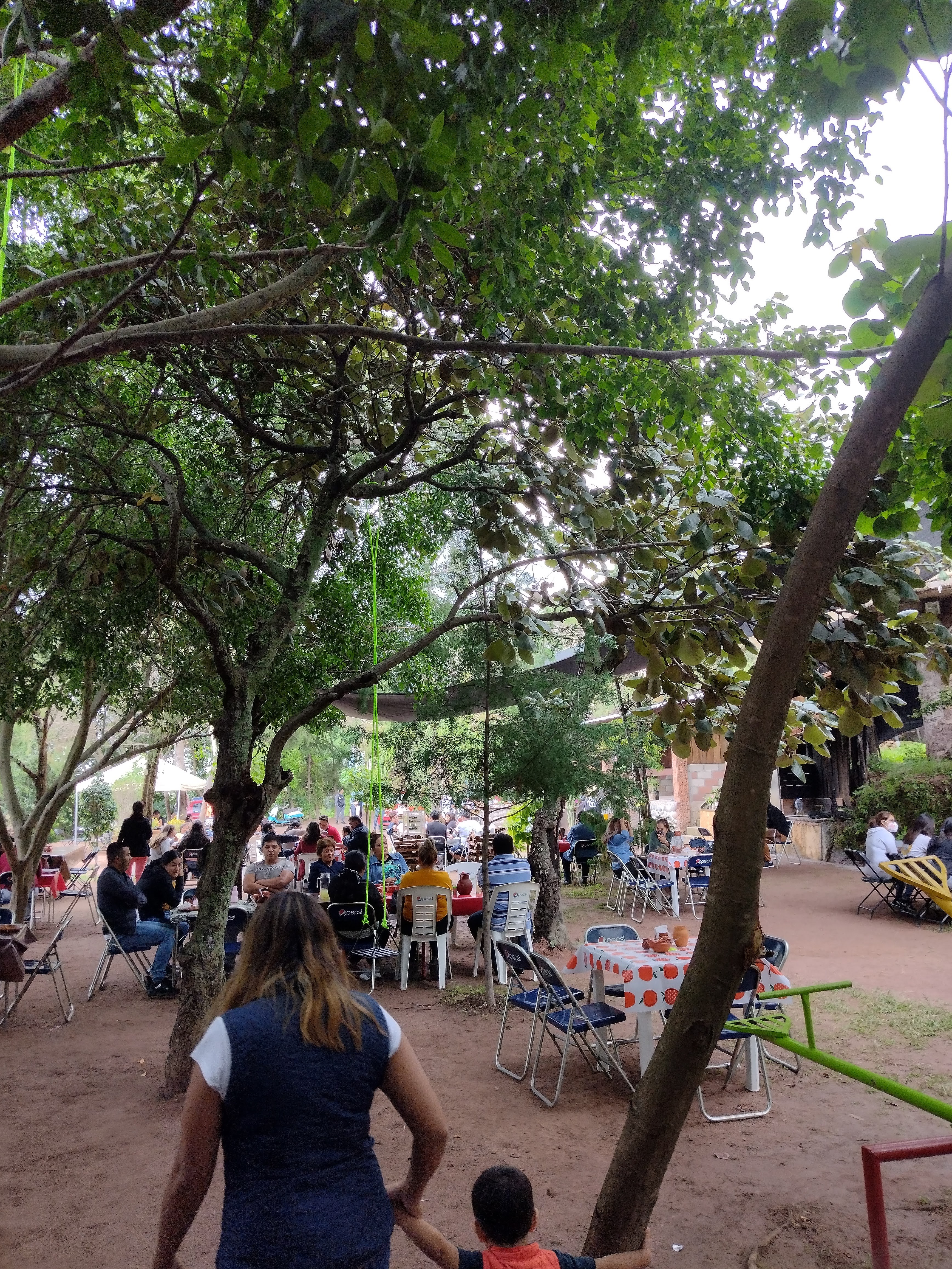 El Agave (Comida Campestre) image 5