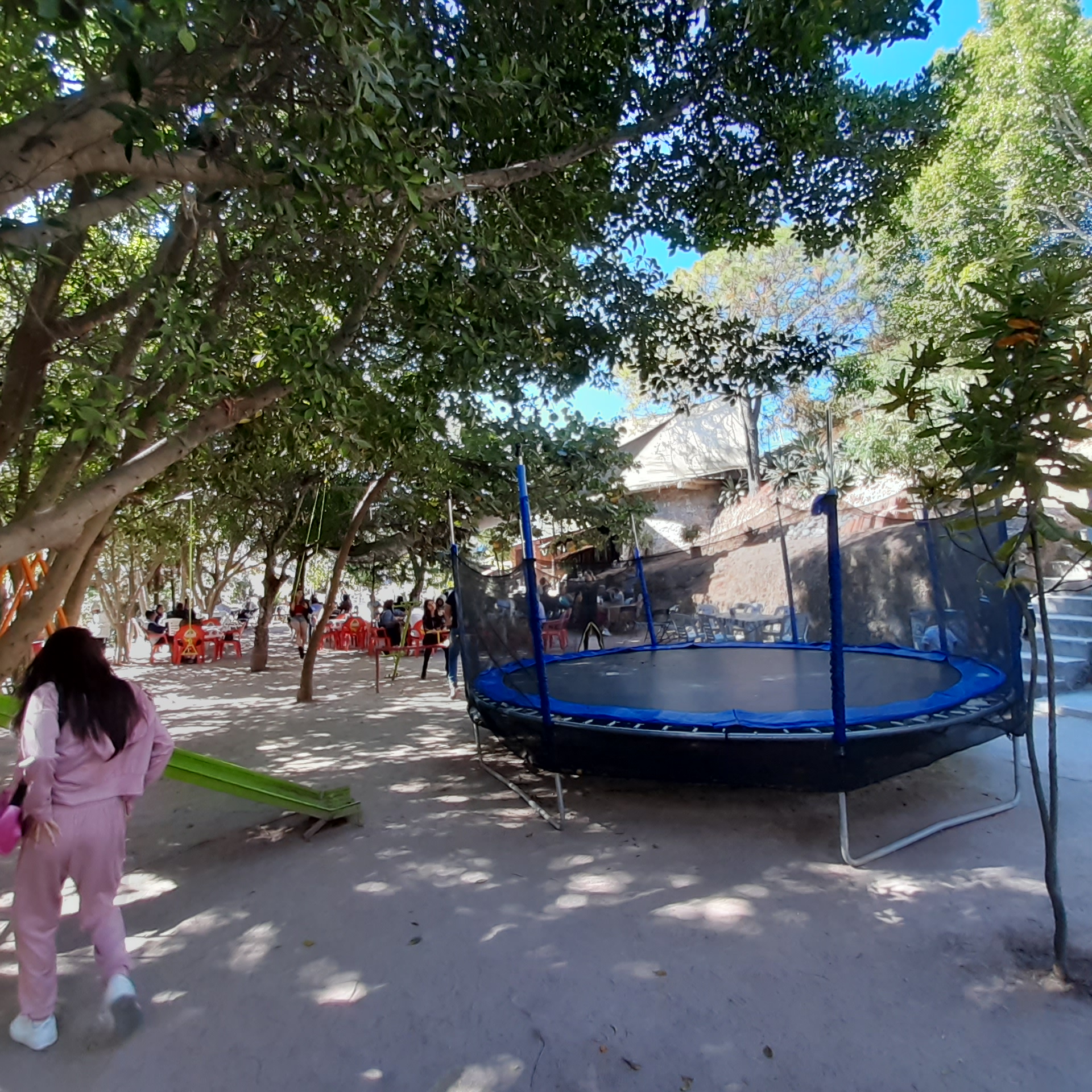 El Agave (Comida Campestre) image 6