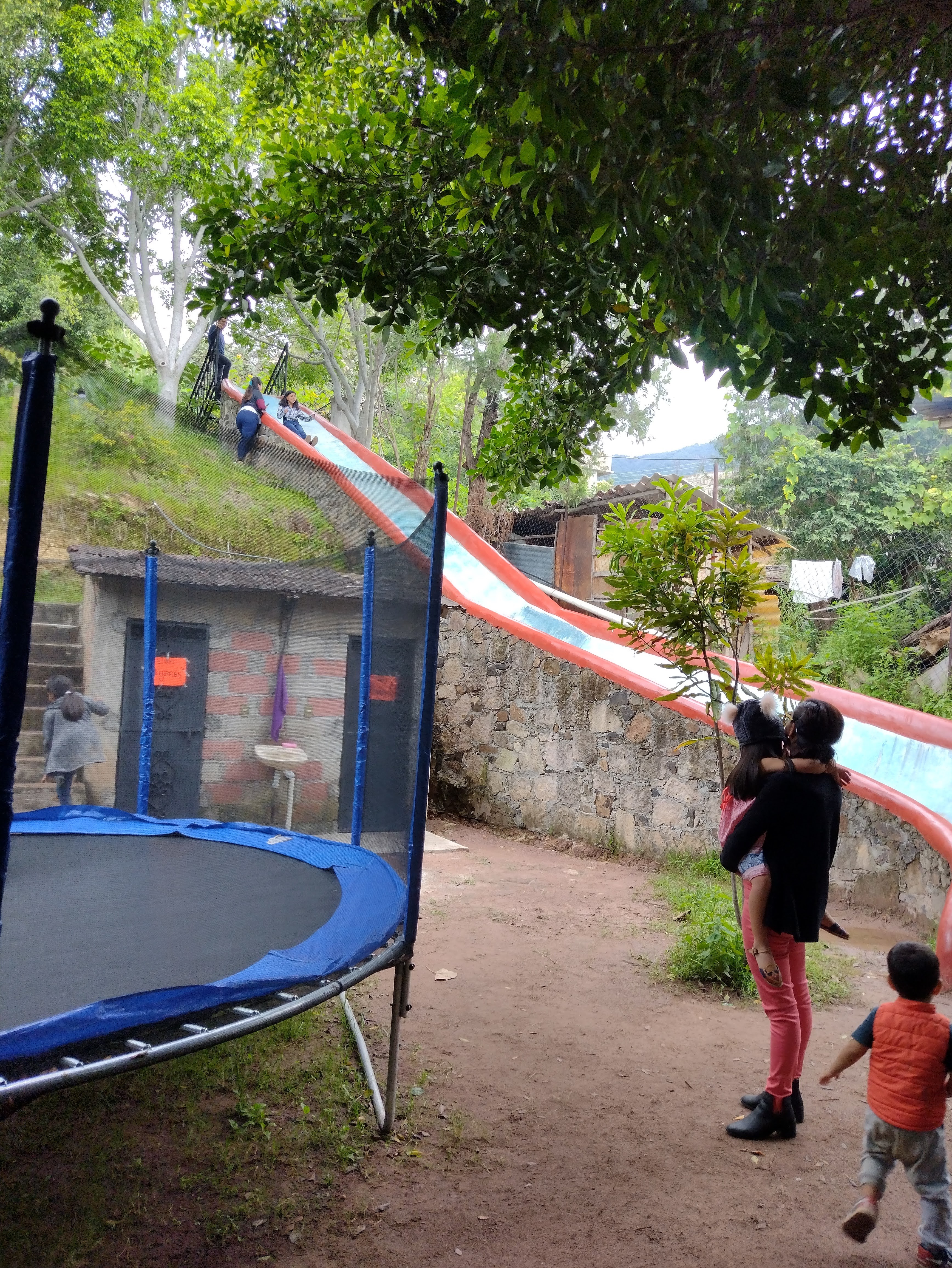 El Agave (Comida Campestre) image 8