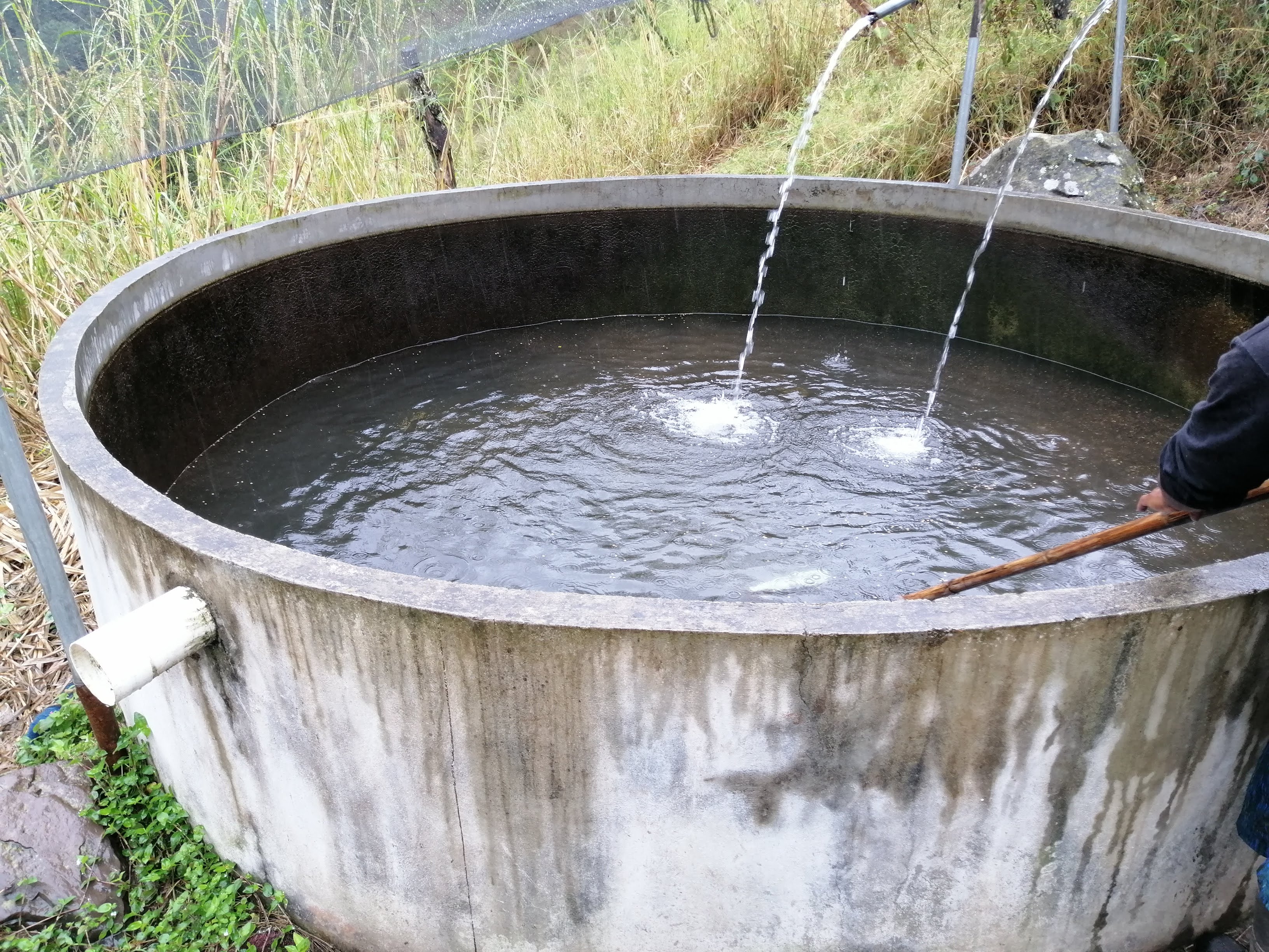 Criadero de Truchas image 3