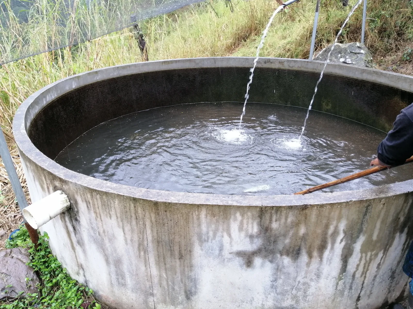 Criadero de Truchas image 3