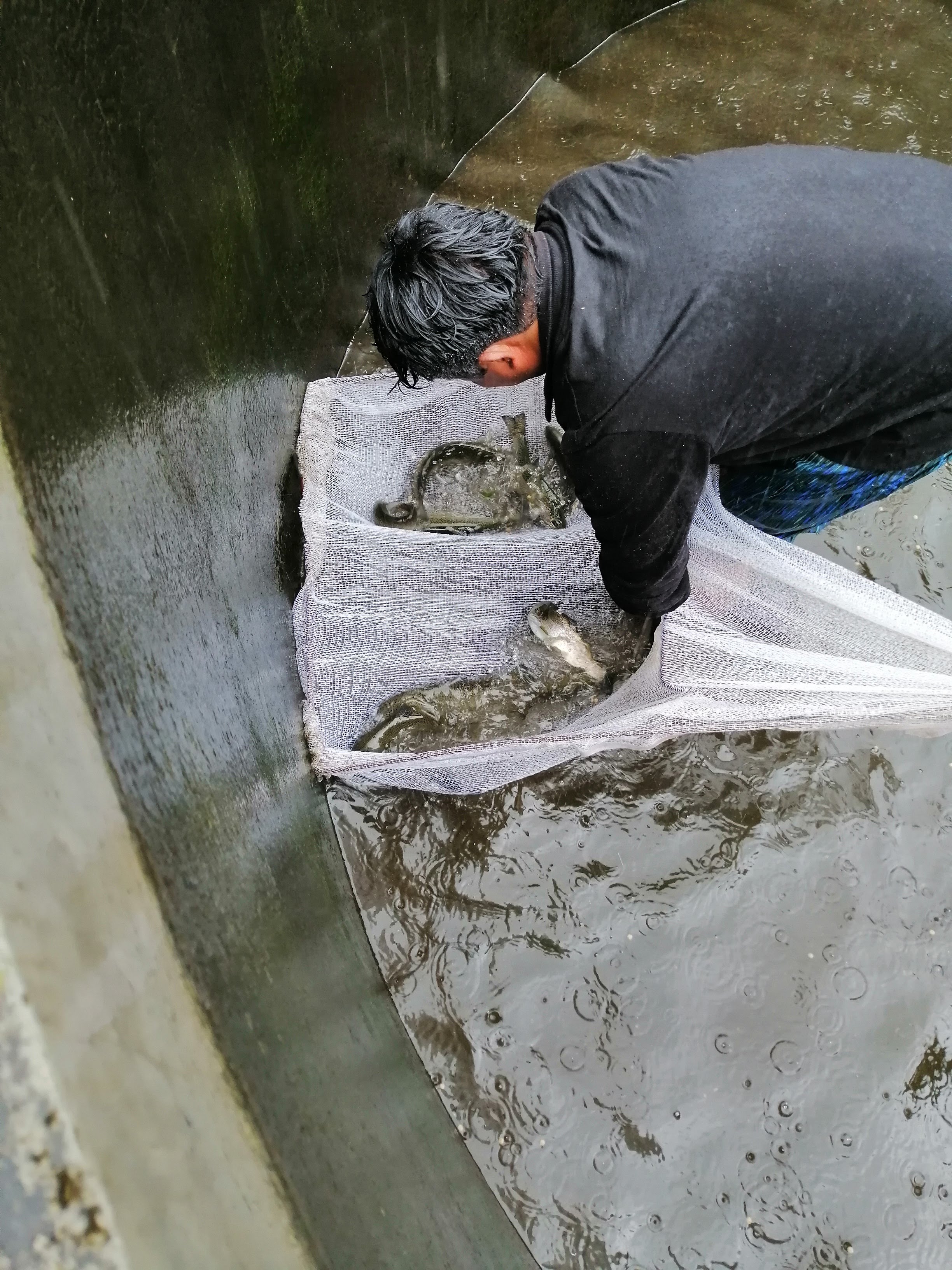 Criadero de Truchas image 5