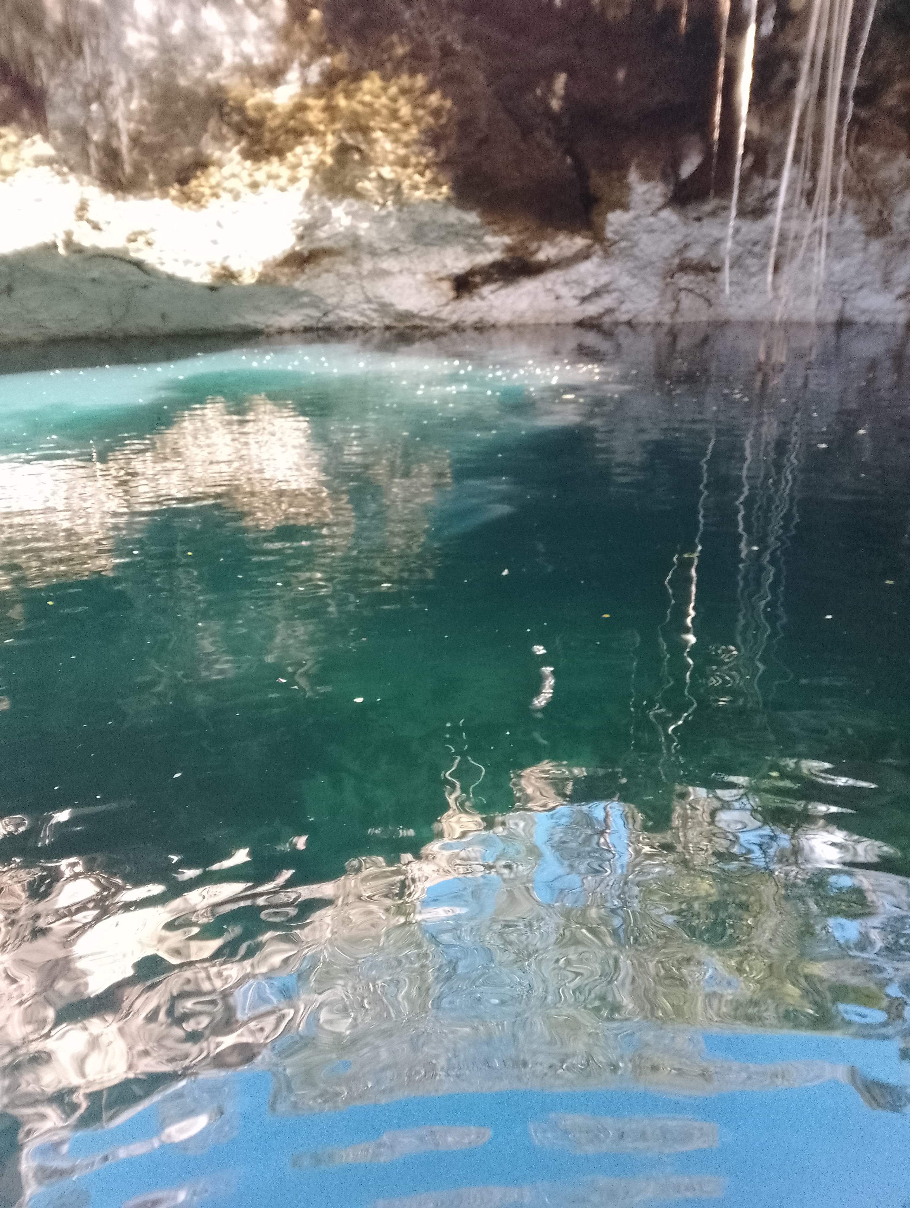 Servicios Turísticos Cenote Suhem Pixyah image 10