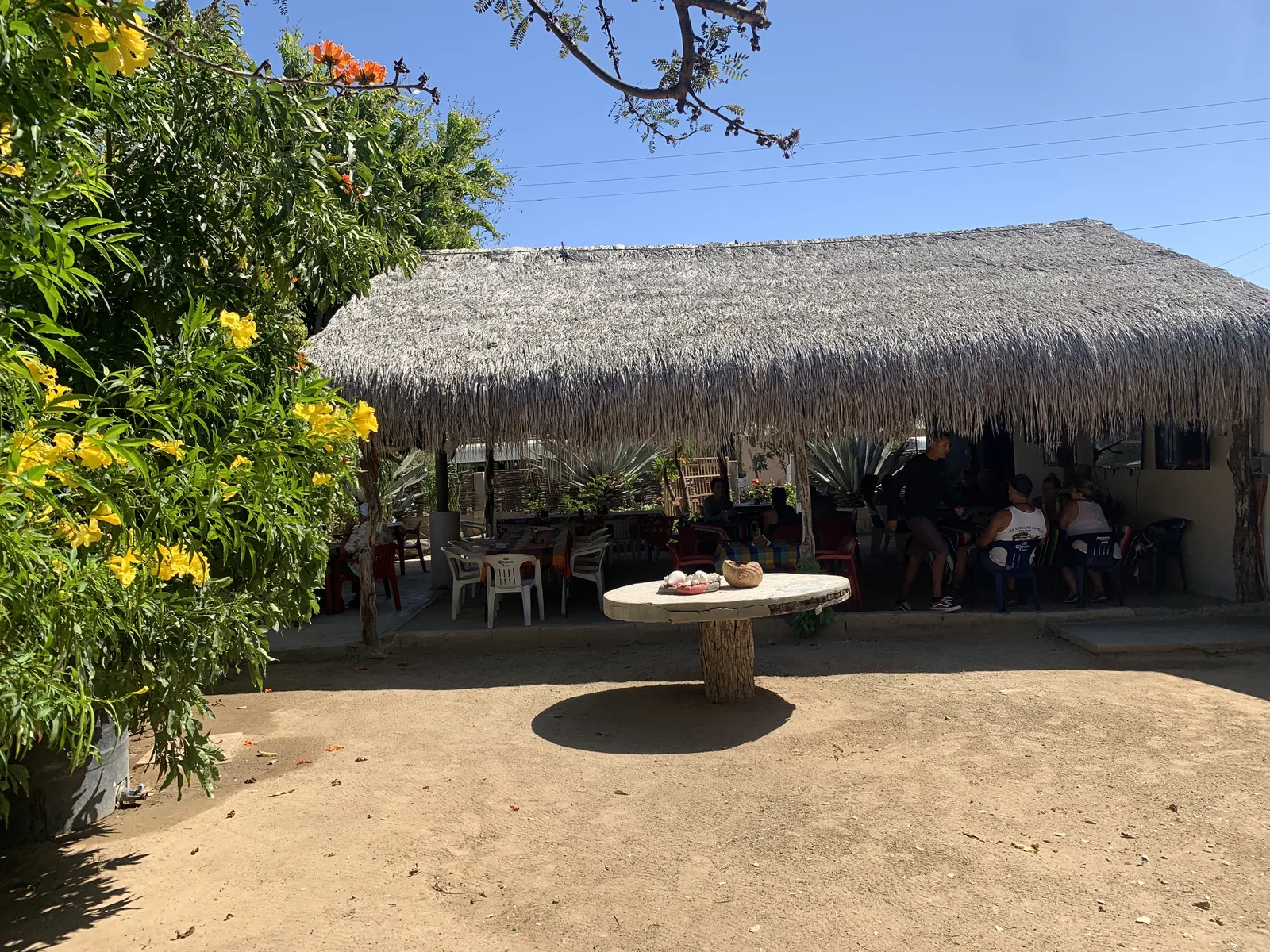 Restaurant Los Agaves image 5