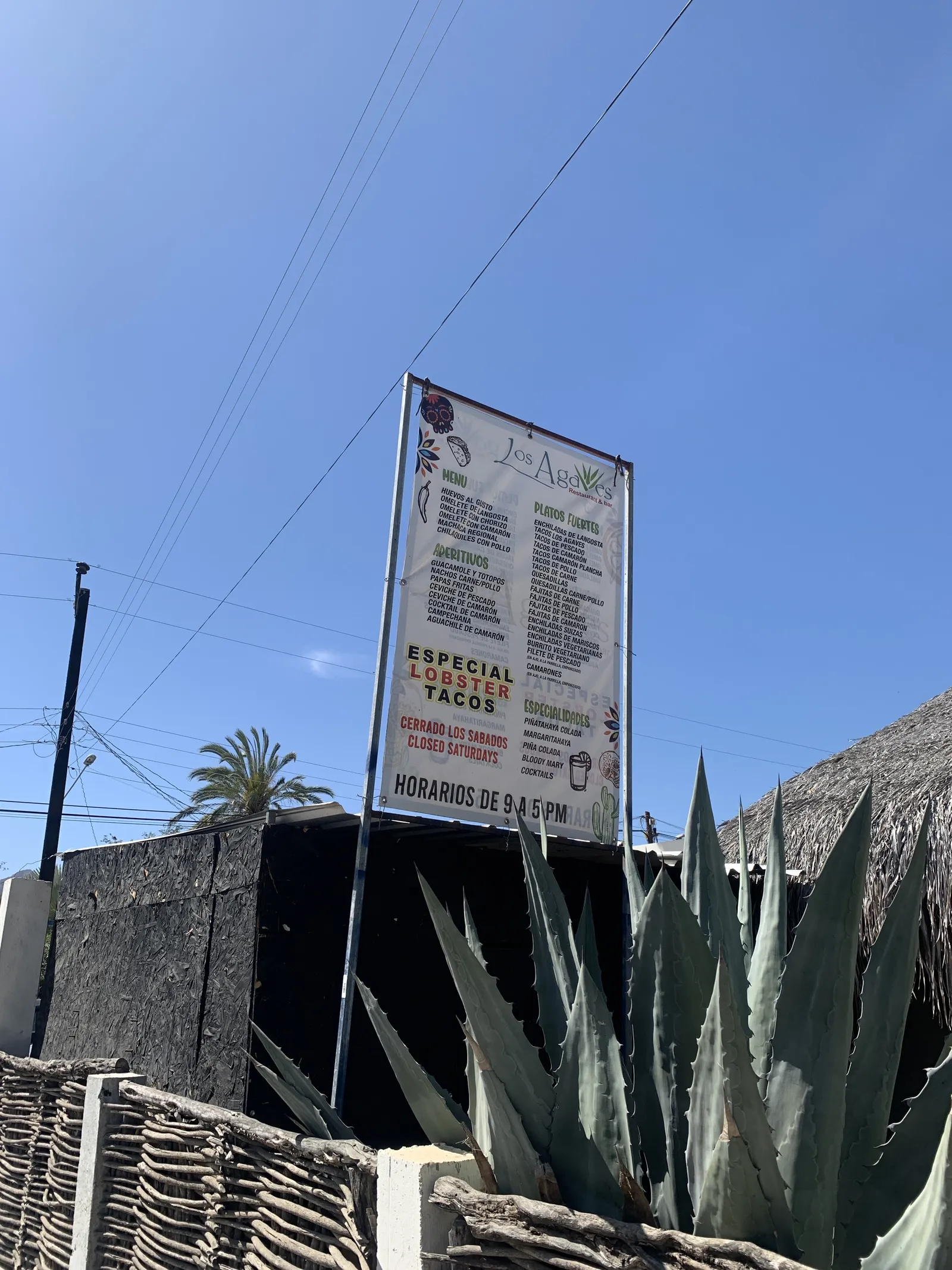 Restaurant Los Agaves image 8