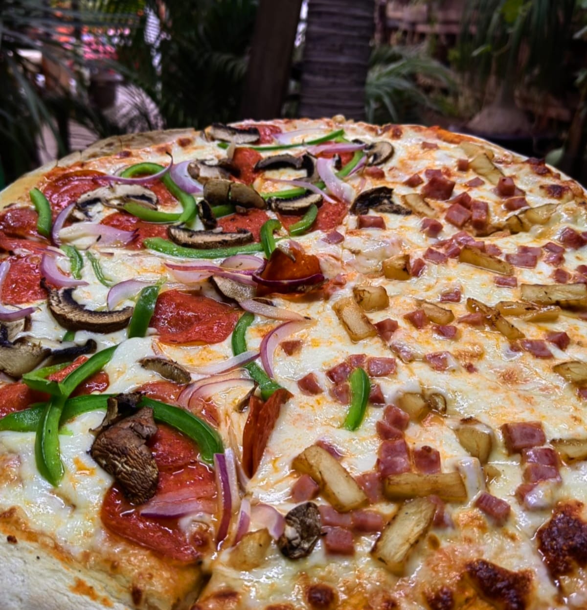 CASA MIA RESTAURANTE image 2