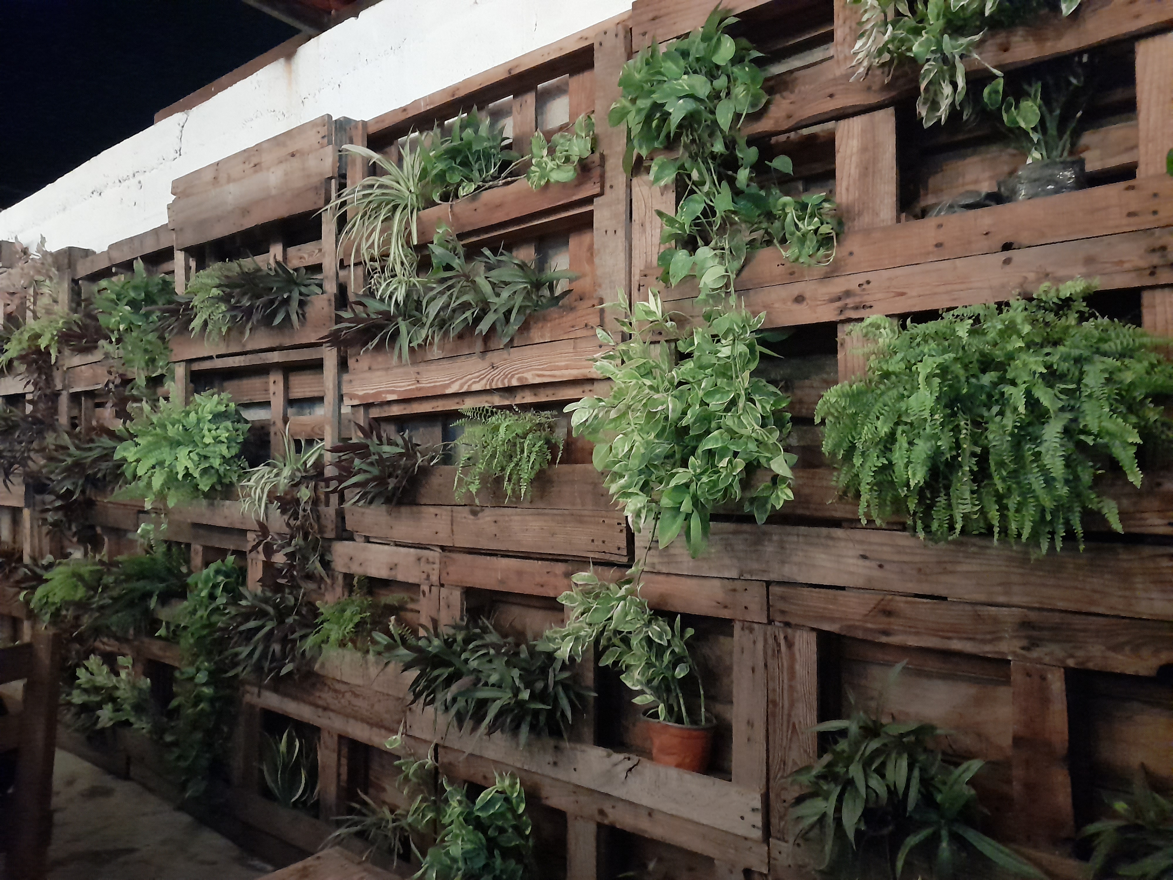 CASA MIA RESTAURANTE image 7