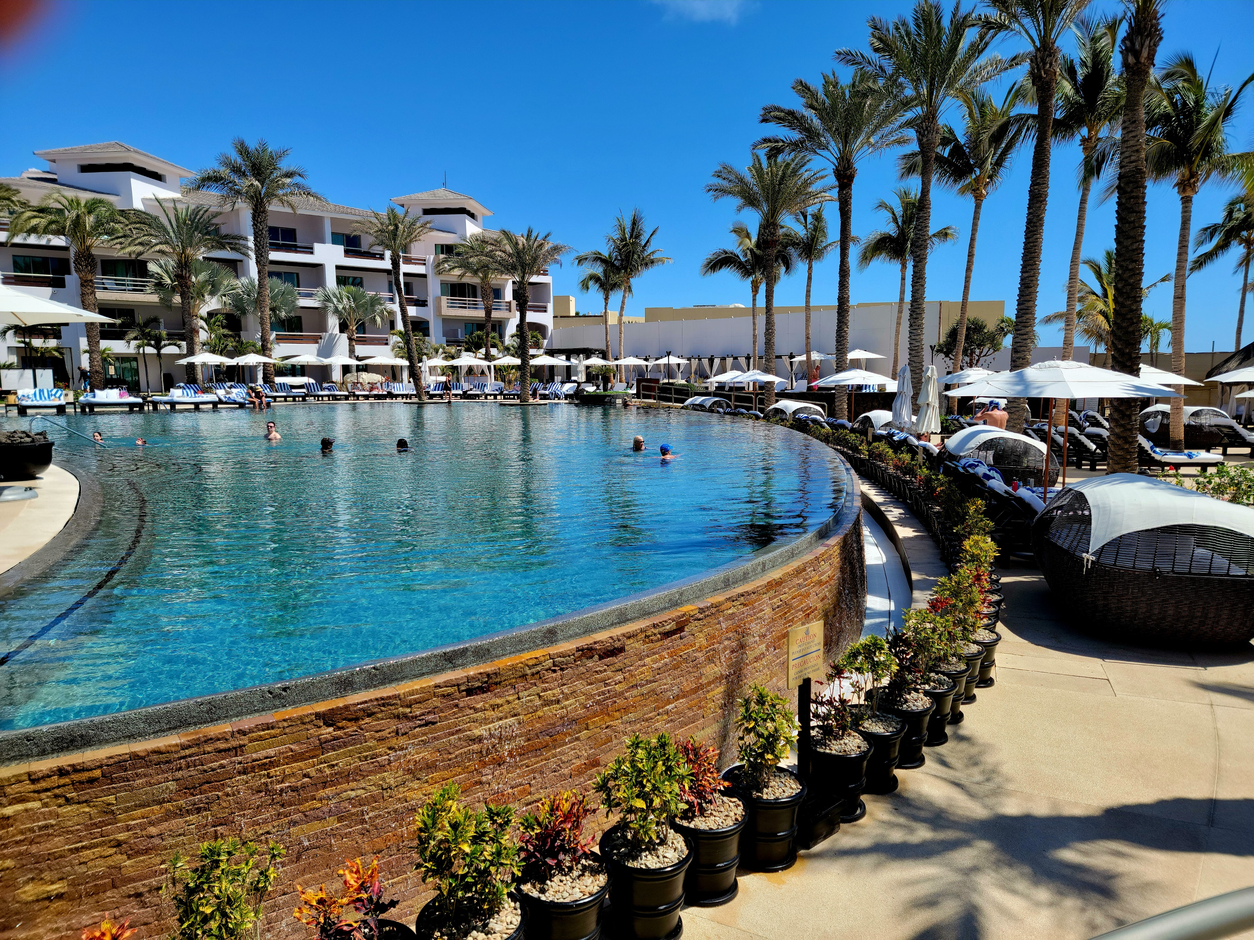 Javier's Restaurant at The Cabo Azul Resort image 6