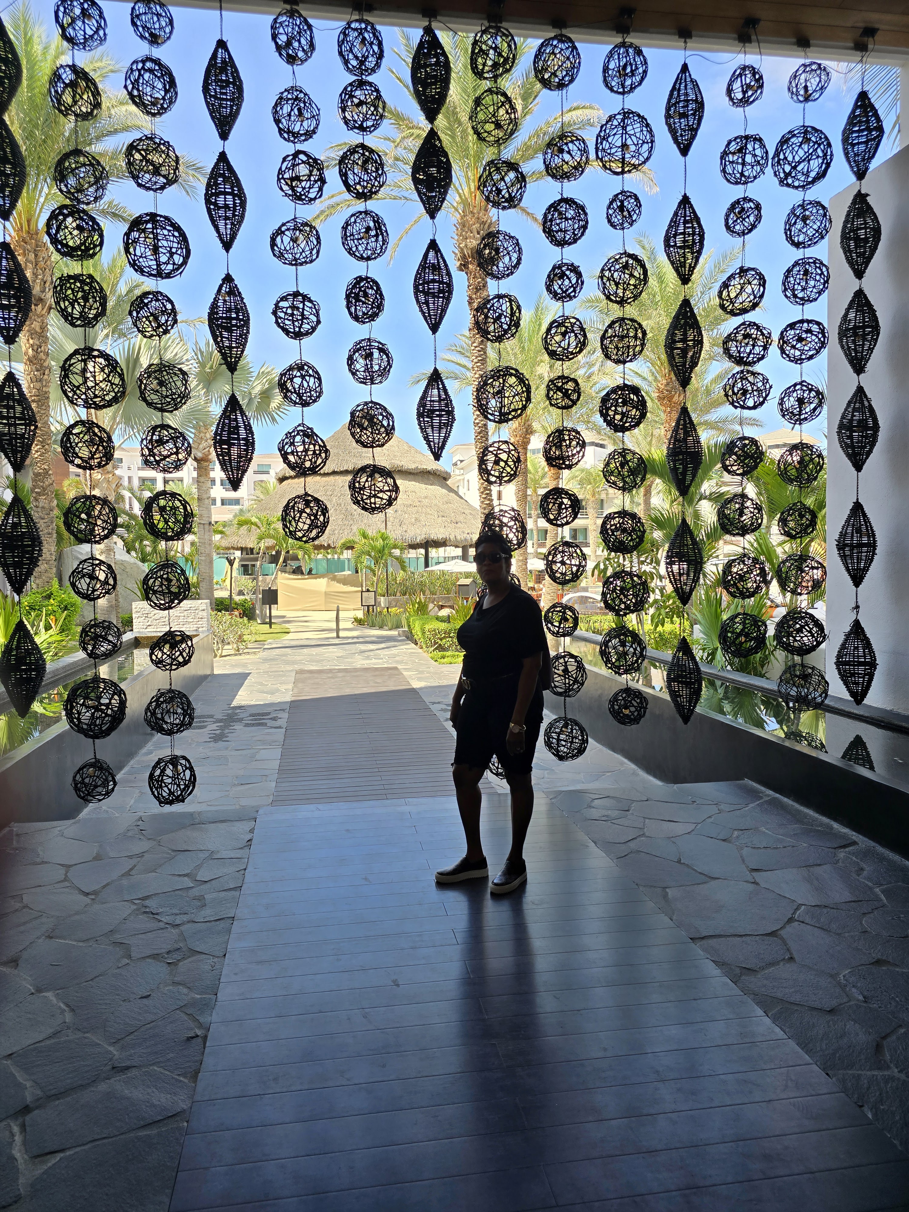 Javier's Restaurant at The Cabo Azul Resort image 9