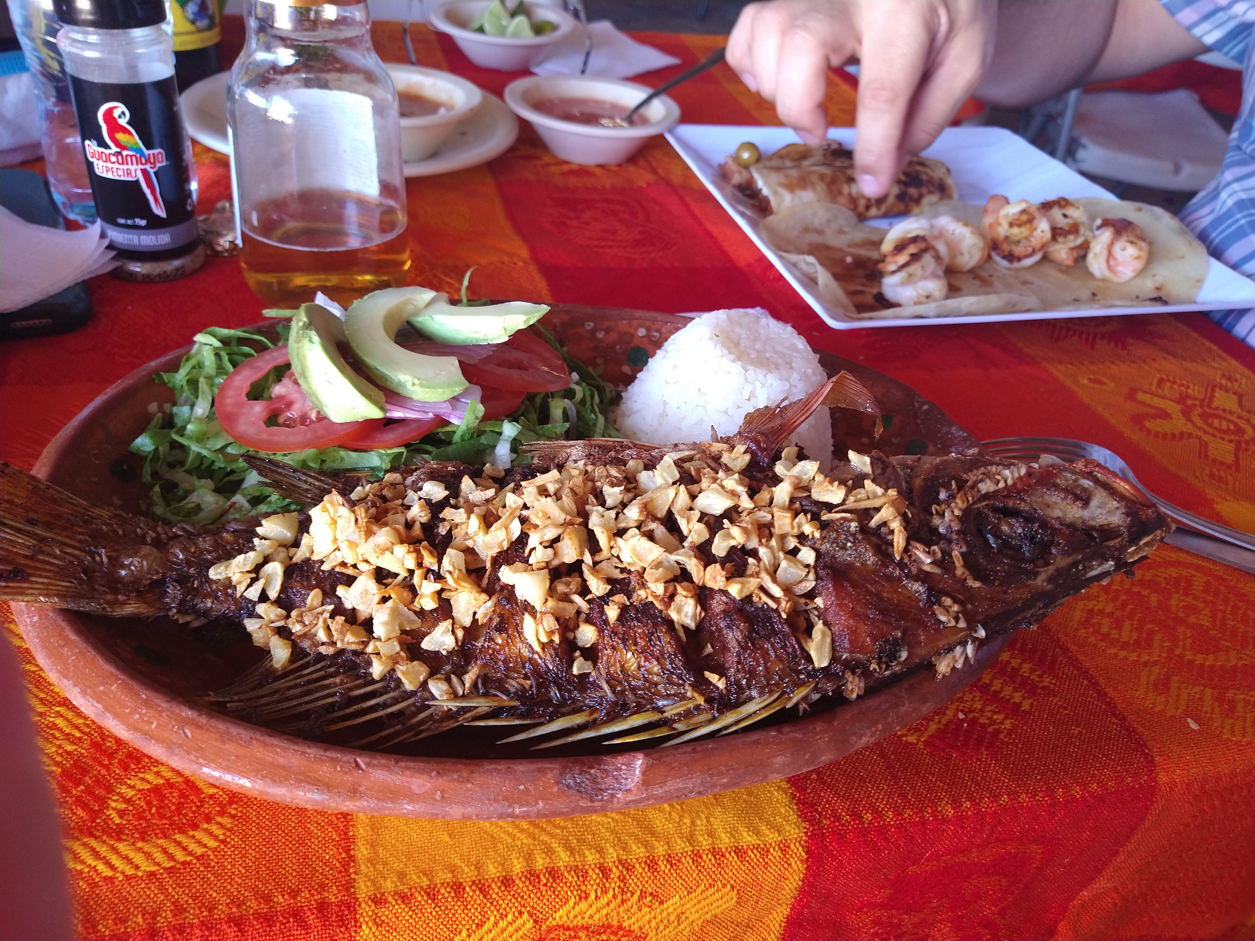 El Jovenazo image 10