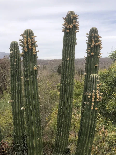 Rancho Agua Viva image 5