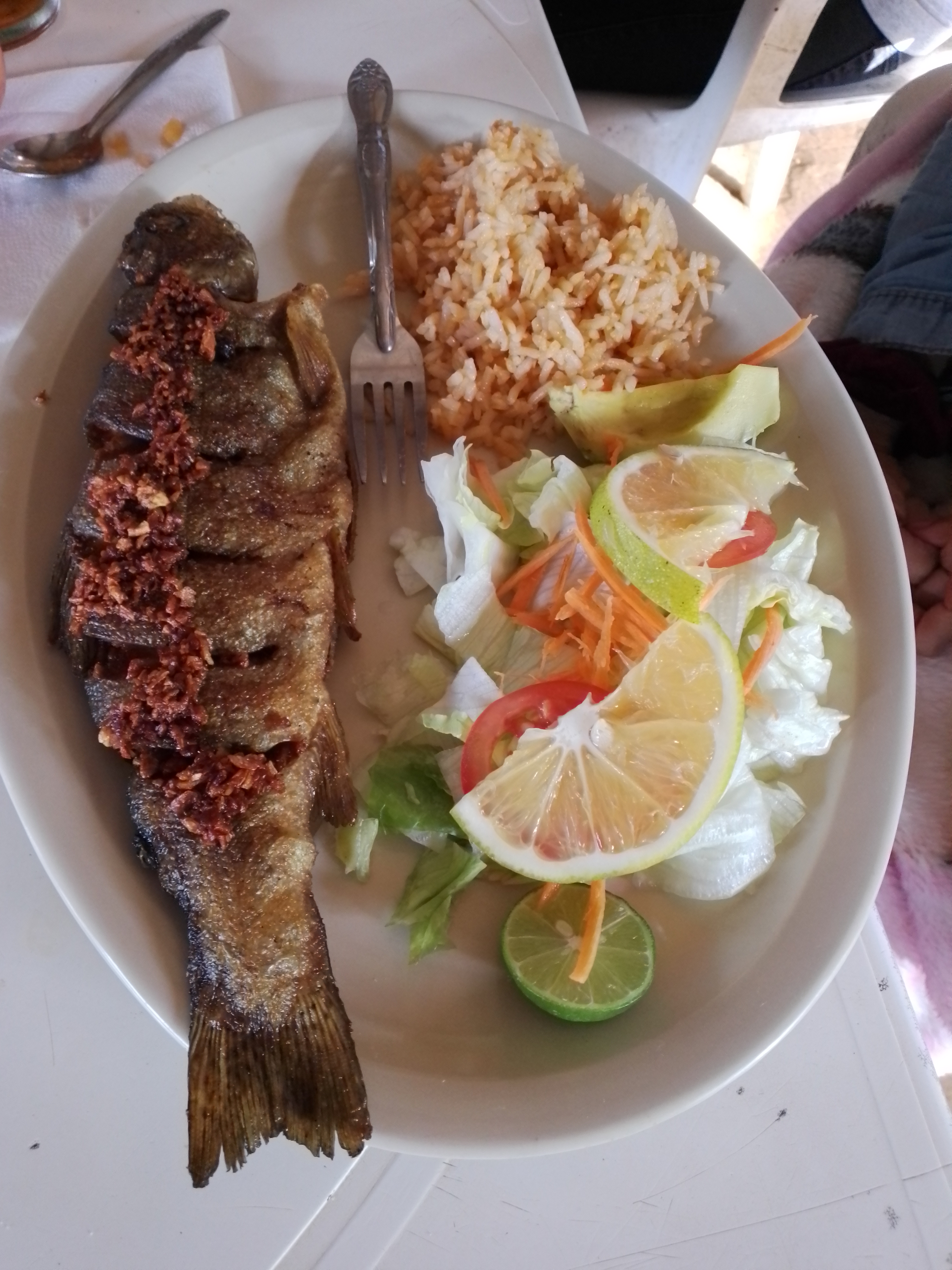 Cabaña "Las Truchas" image 2