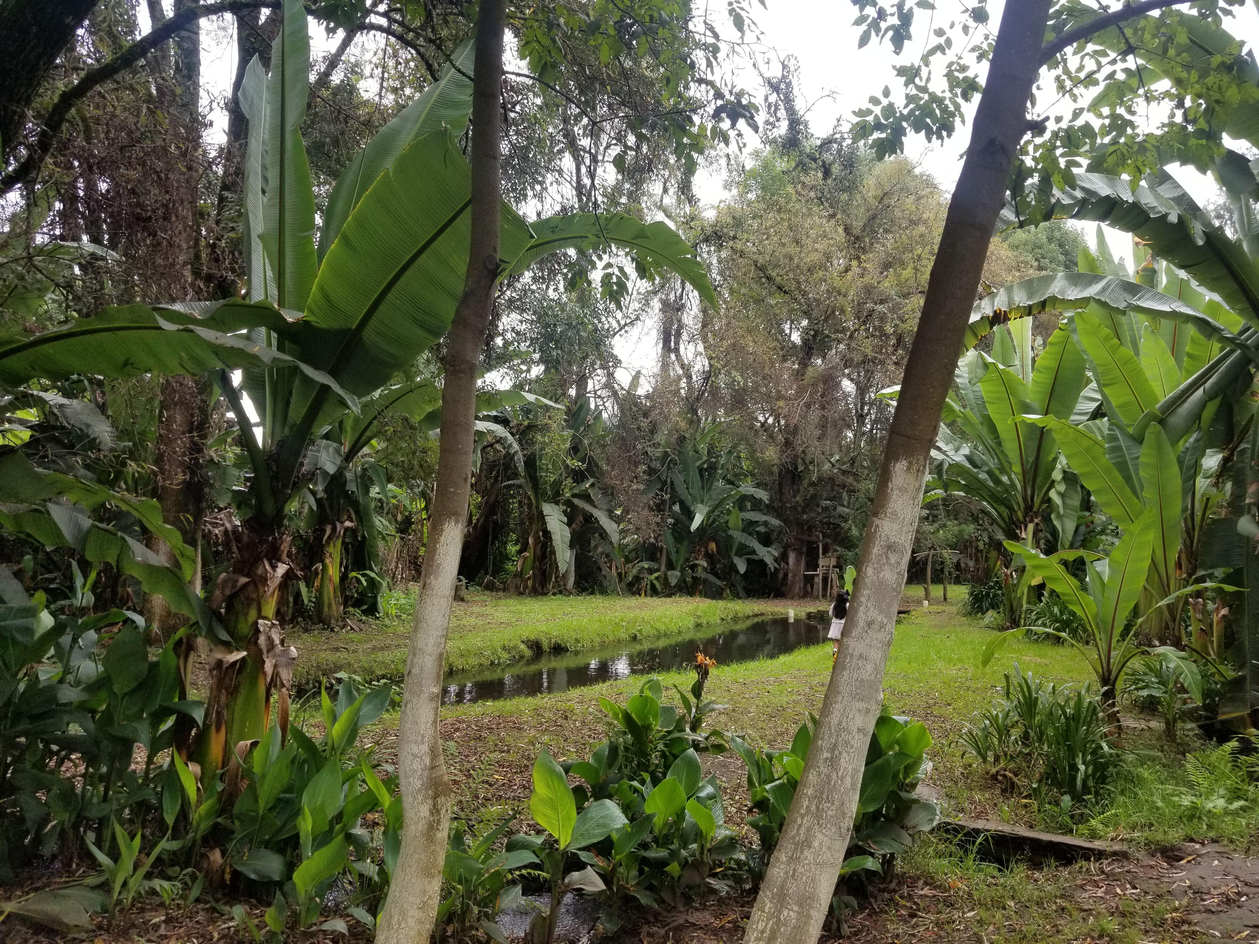 Cabaña "Las Truchas" image 3