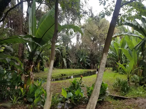Cabaña "Las Truchas" image 3