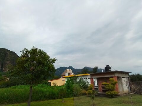 El Amate image 2