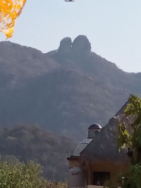 El Amate image 5