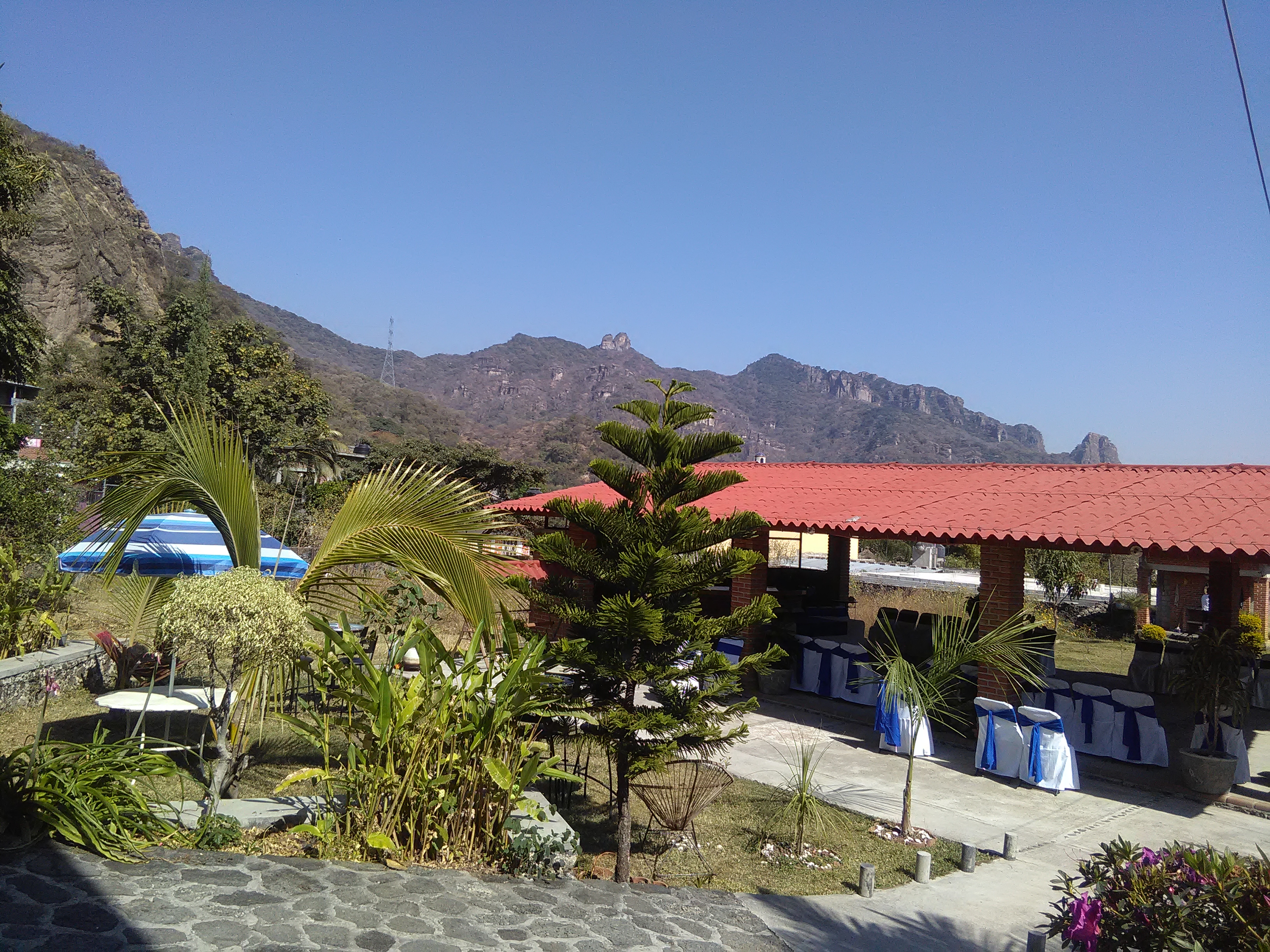 El Amate image 6